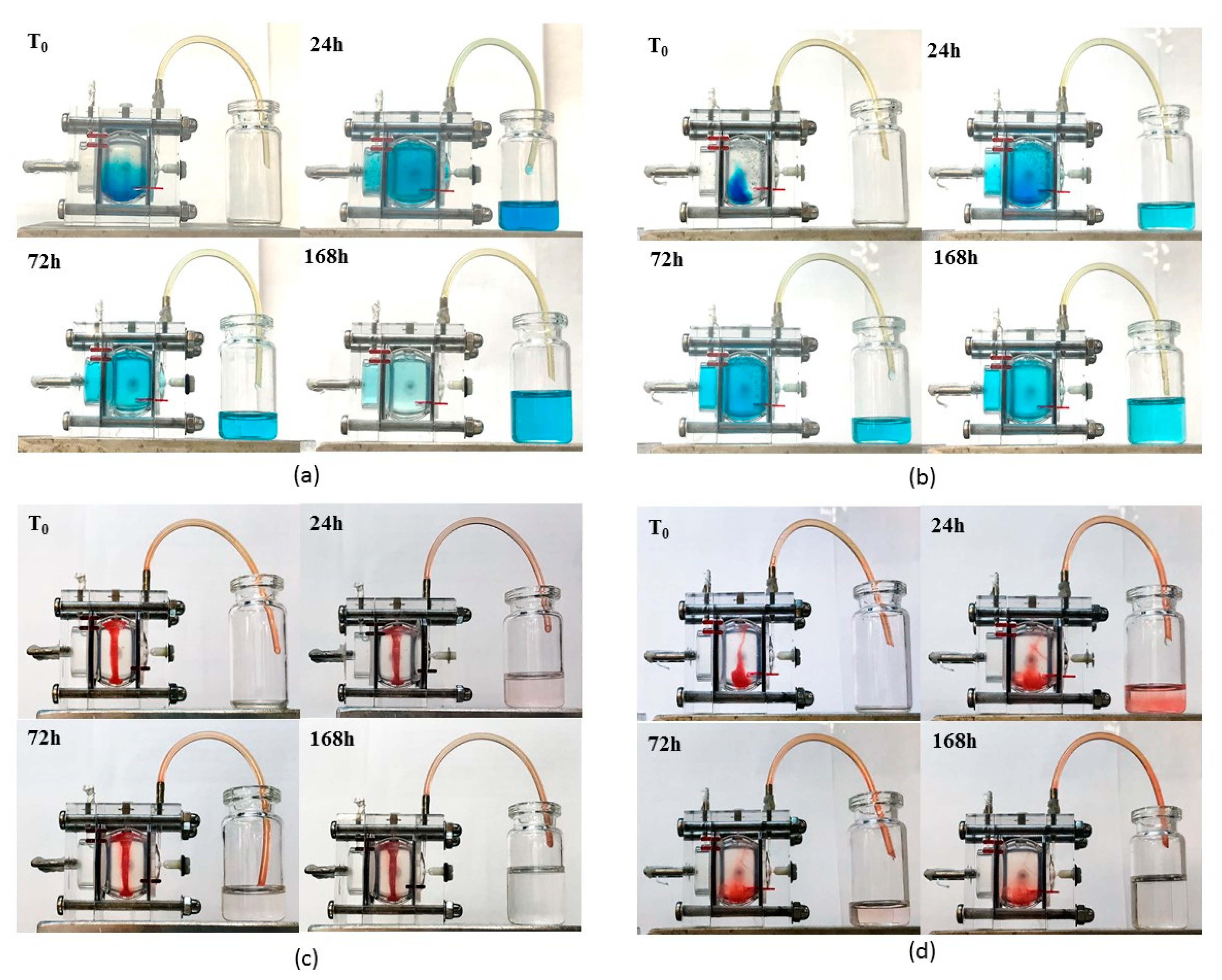 Nanomaterials 09 01461 g012