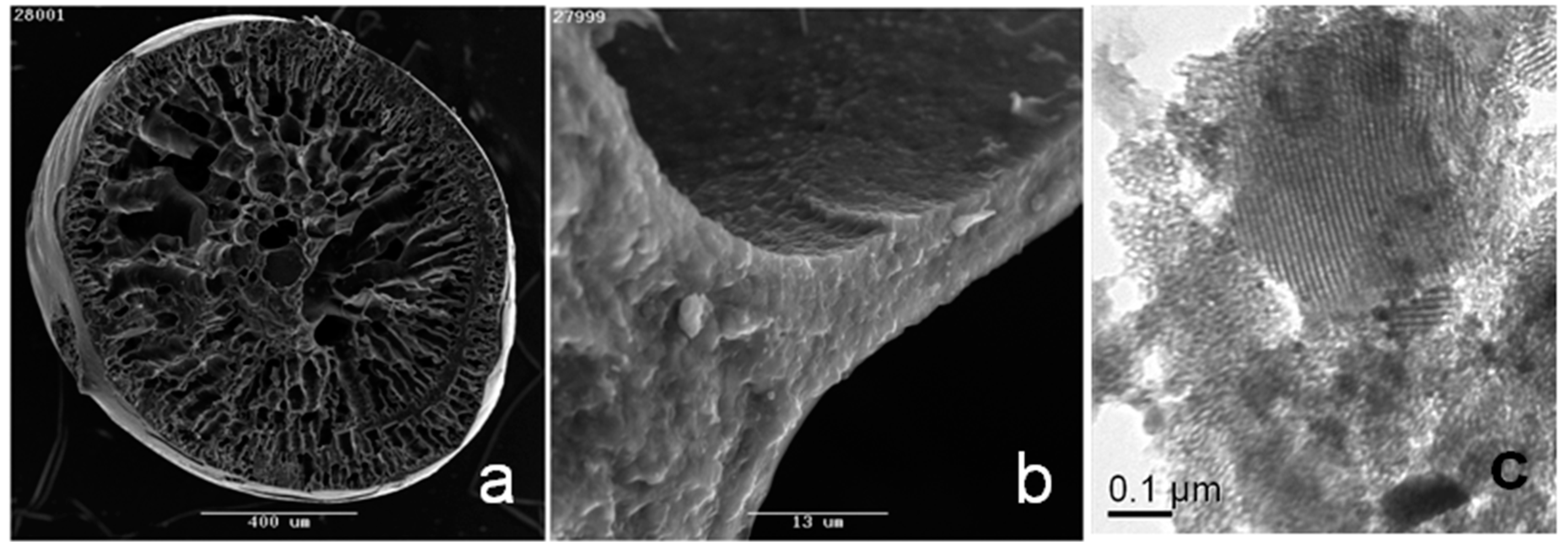 Nanomaterials 09 01464 g002 Nanomaterials 09 01464 g002