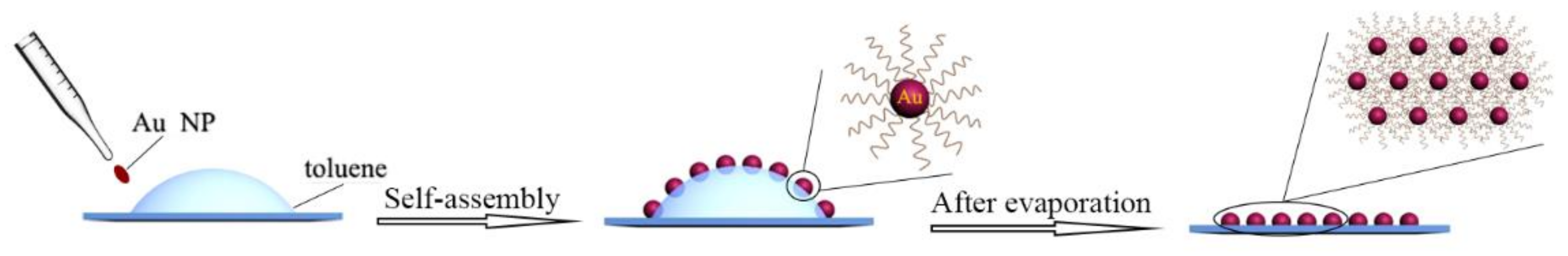 Nanomaterials 09 01468 sch001 Nanomaterials 09 01468 sch001
