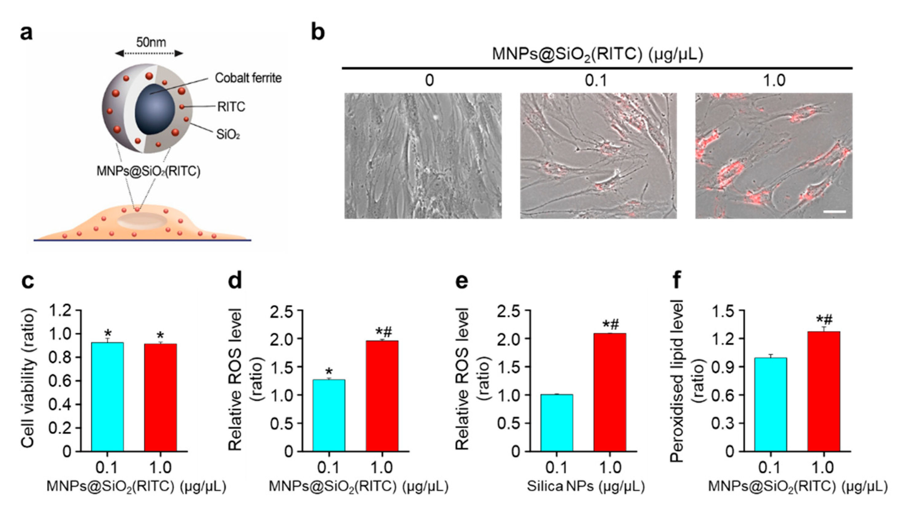 Nanomaterials 09 01475 g001