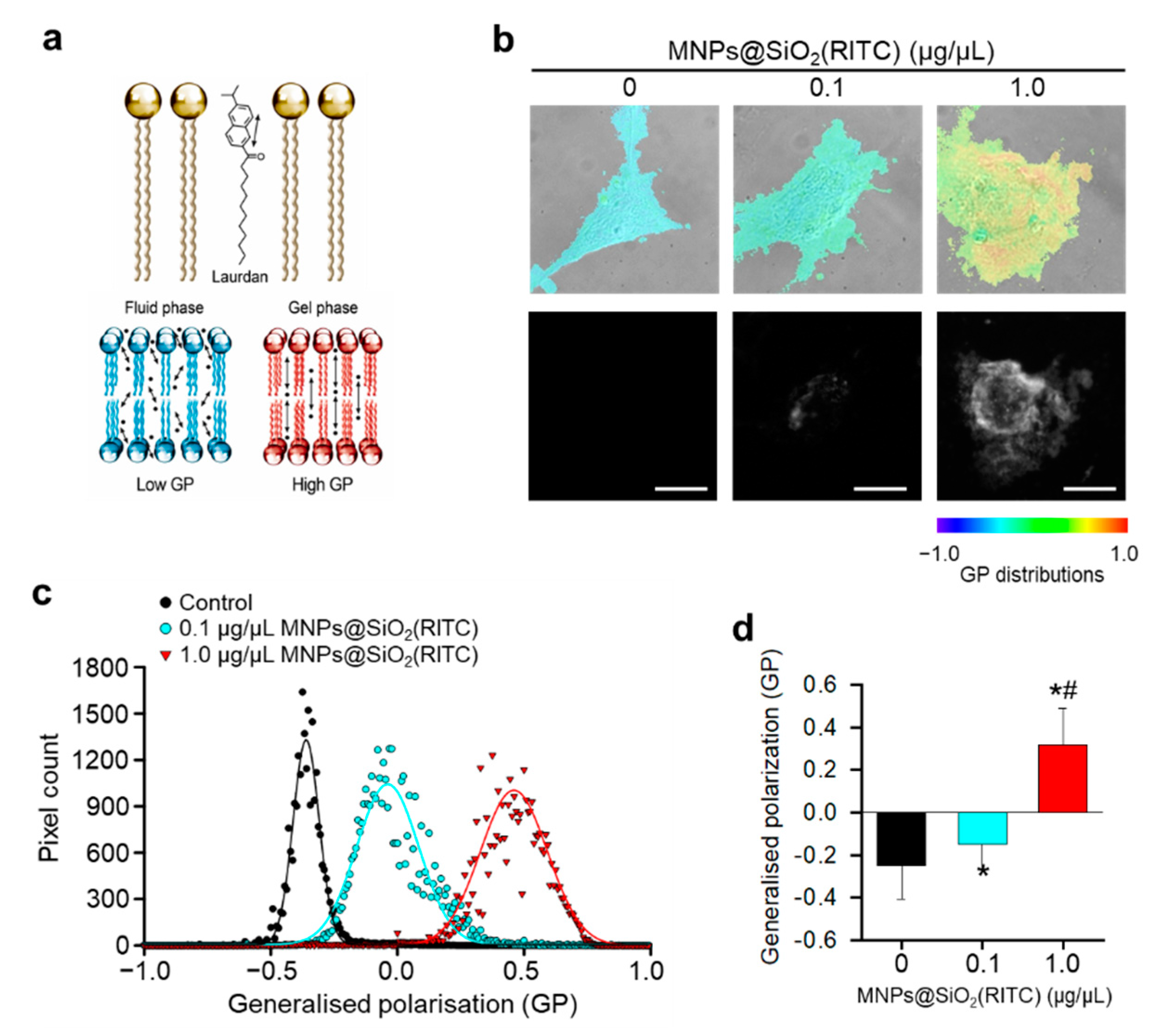 Nanomaterials 09 01475 g002
