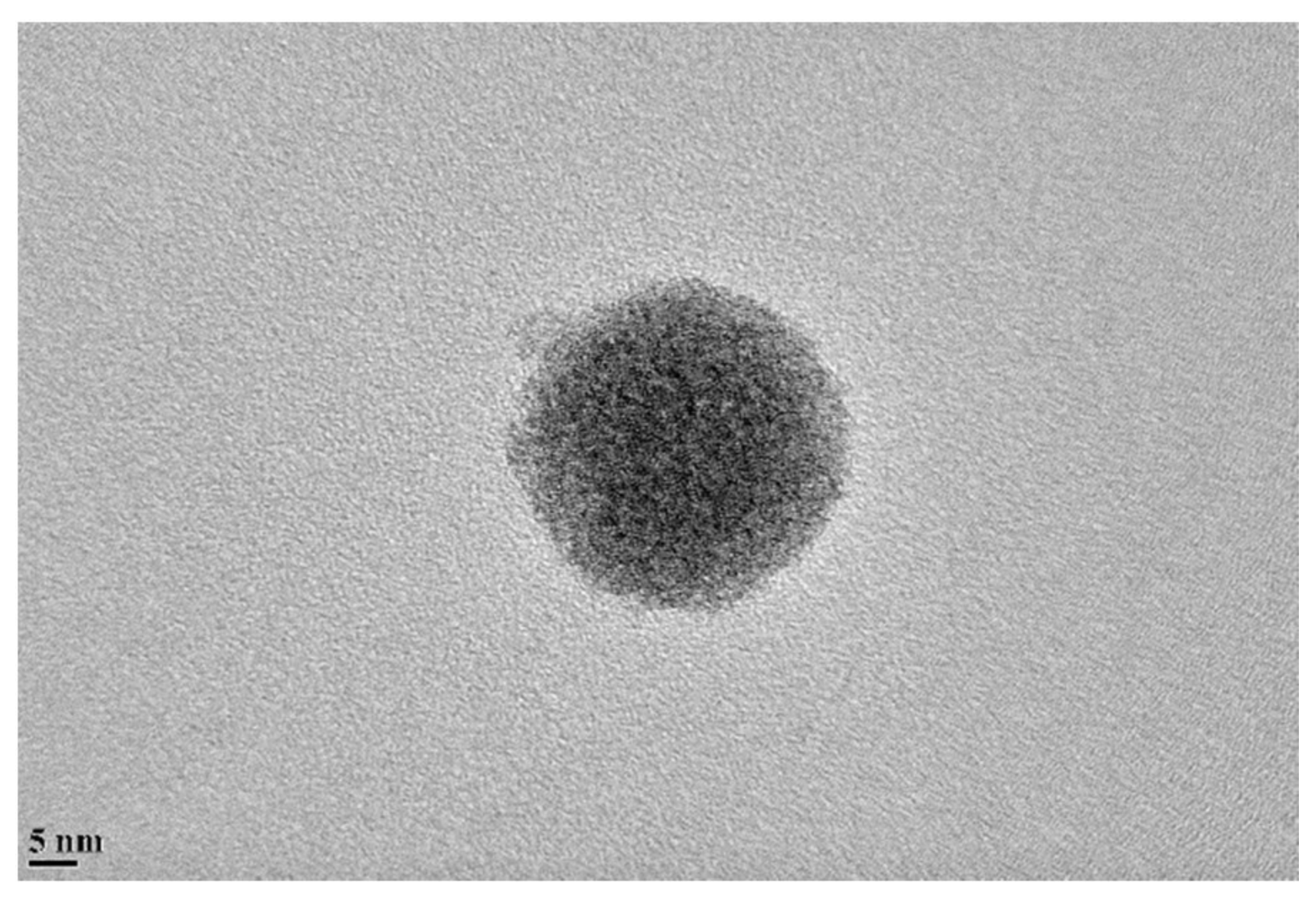 Nanomaterials 09 01476 g001