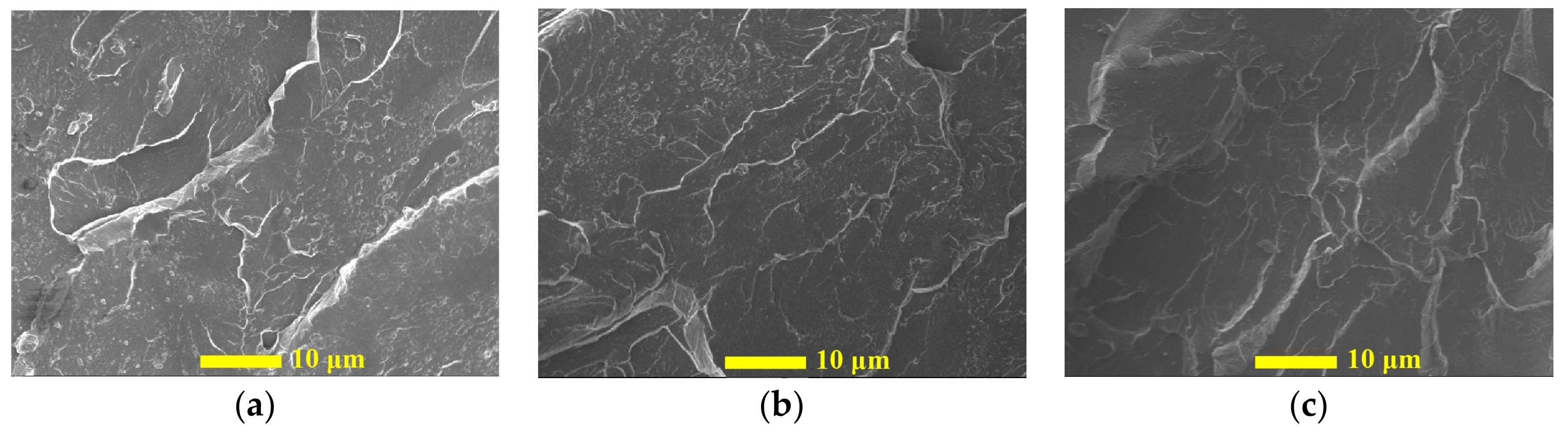 Nanomaterials 09 01476 g005