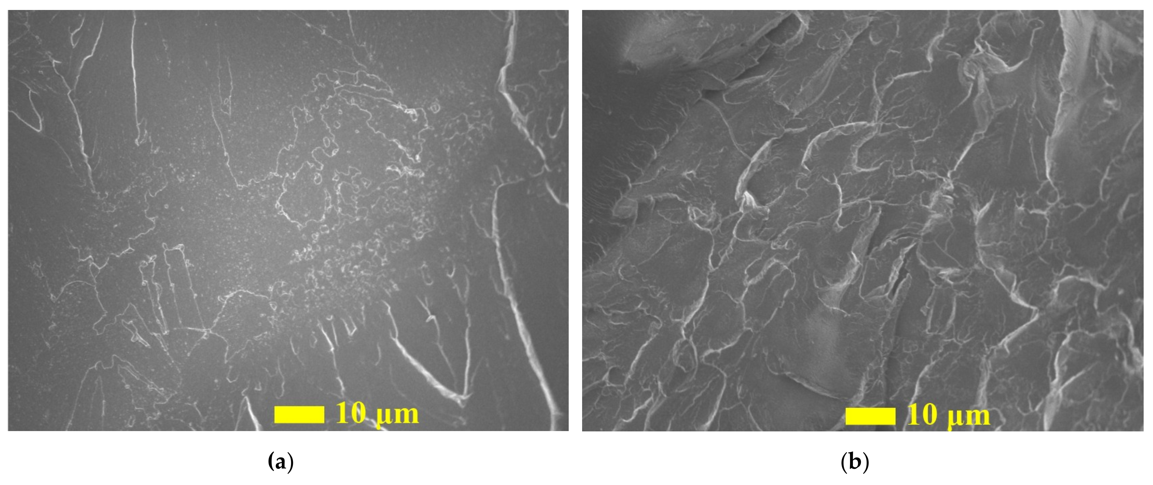Nanomaterials 09 01476 g011
