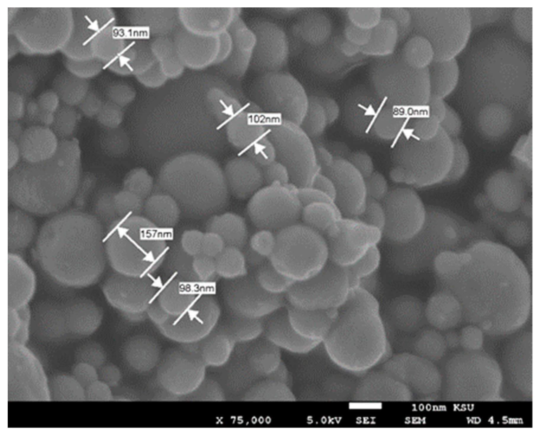 Nanomaterials 09 01478 g002