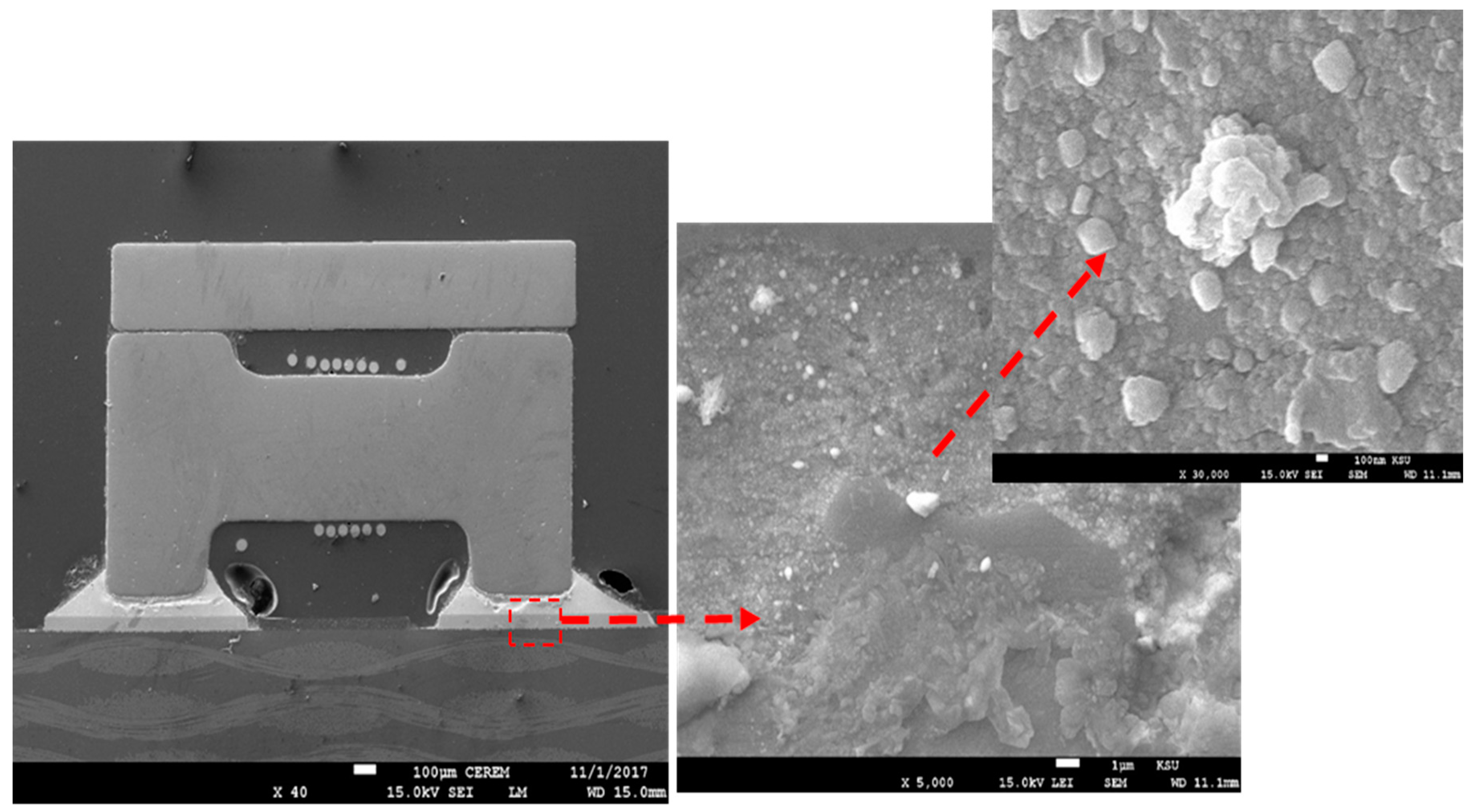 Nanomaterials 09 01478 g005
