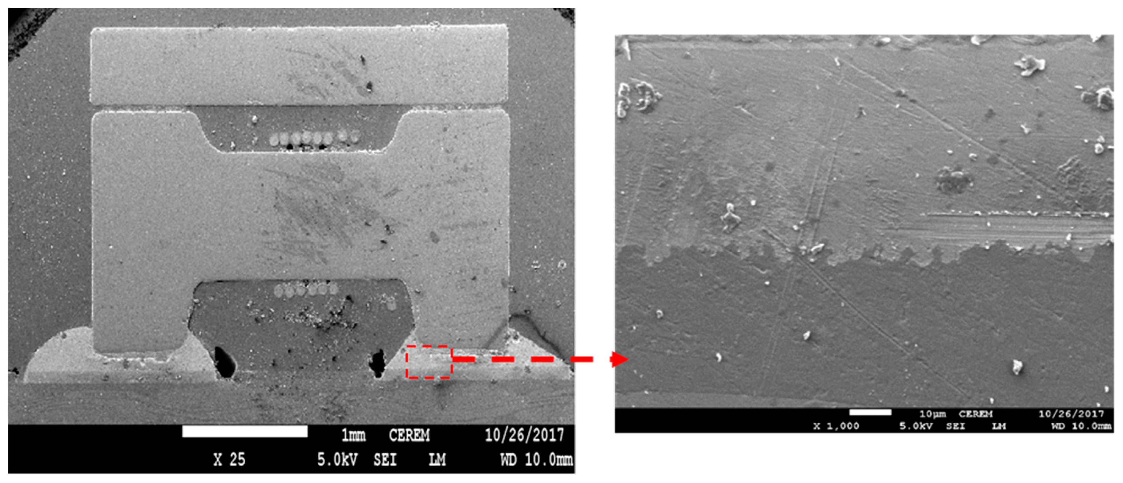Nanomaterials 09 01478 g006