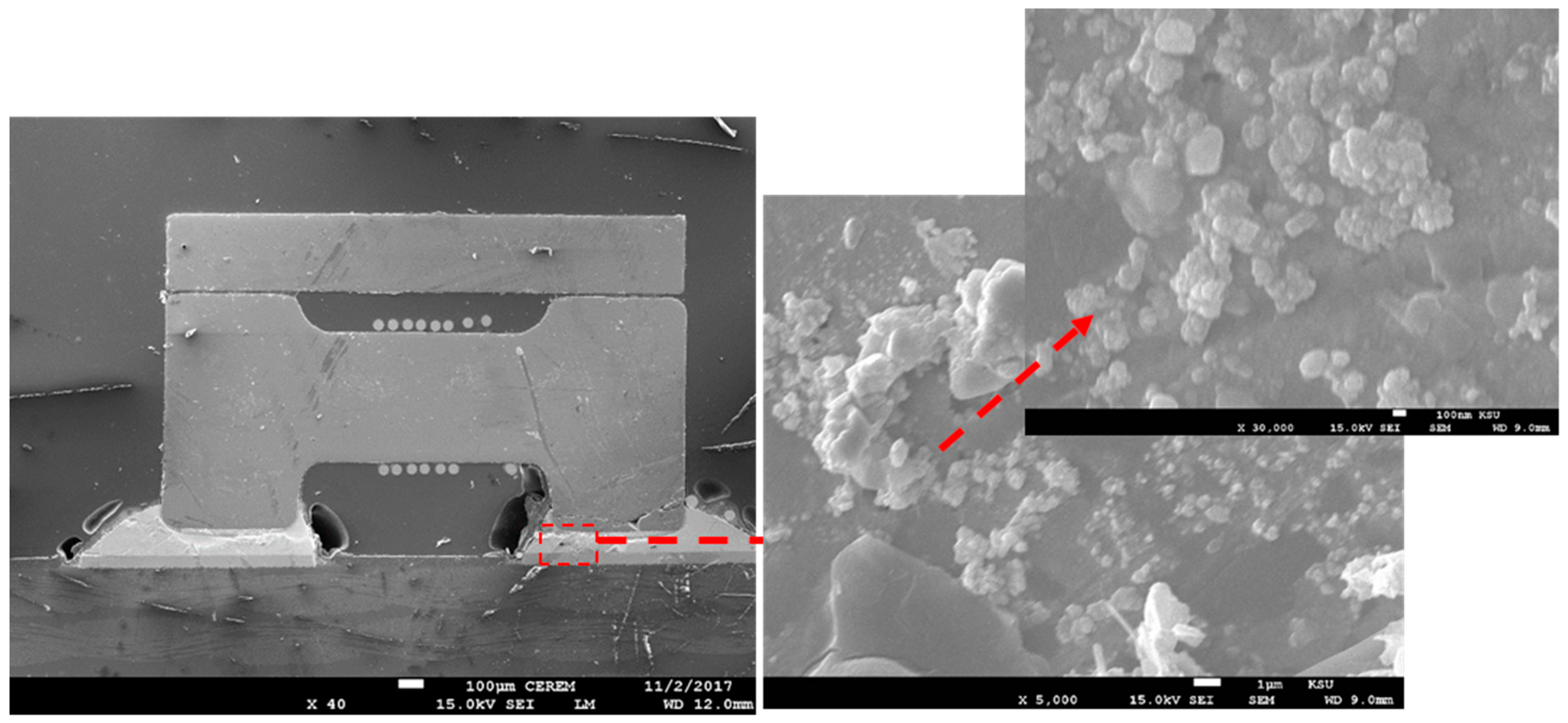 Nanomaterials 09 01478 g007