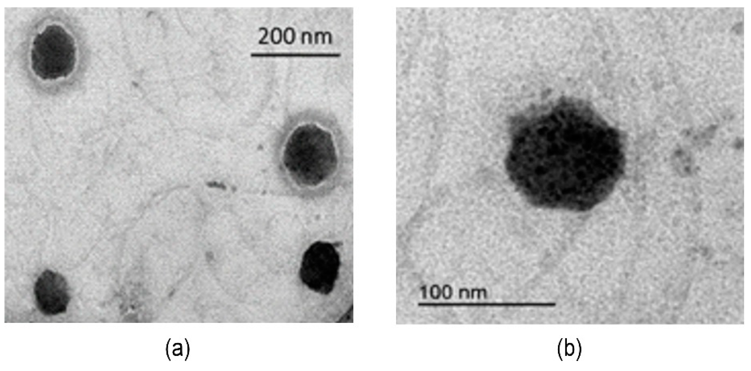 Nanomaterials 09 01485 g001