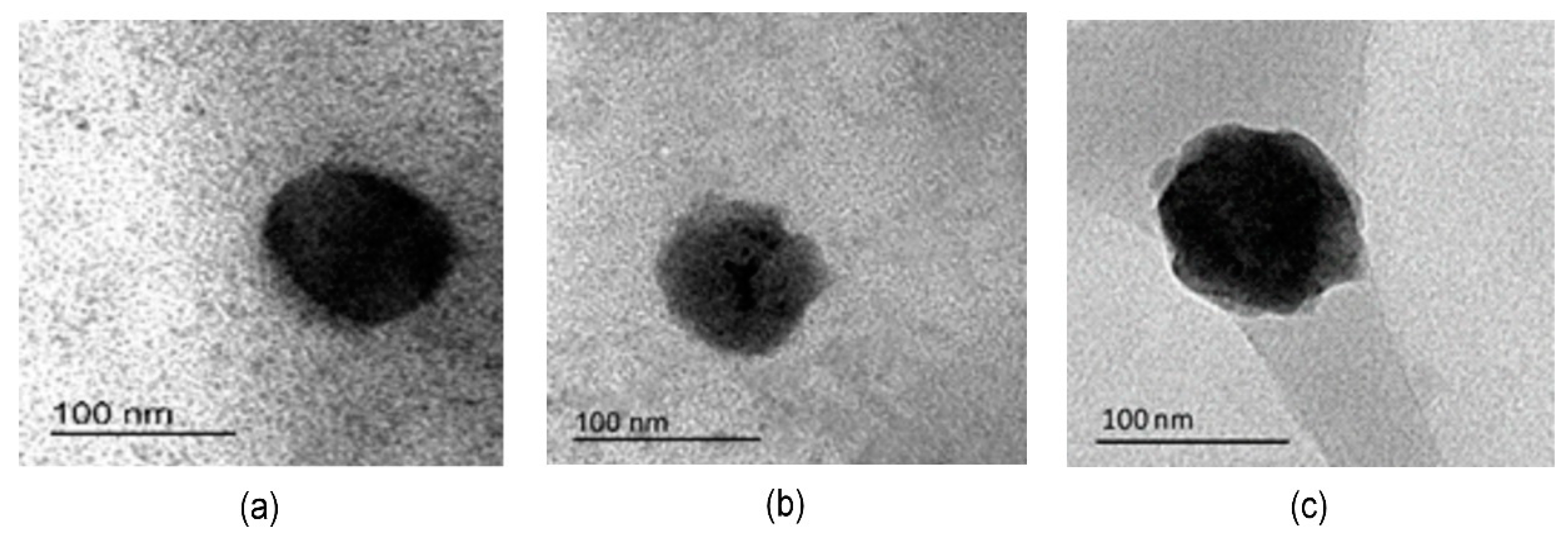 Nanomaterials 09 01485 g005