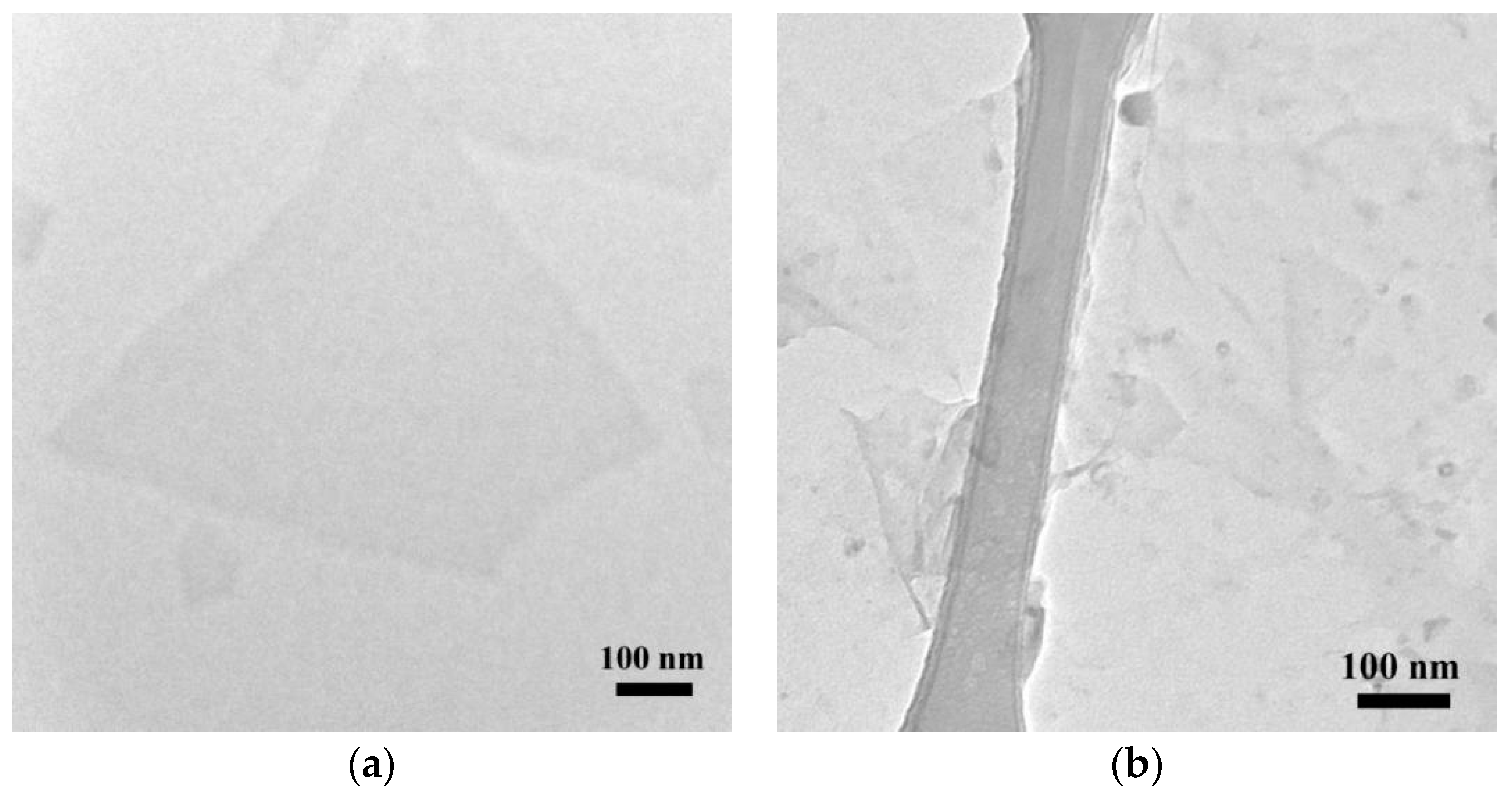 Nanomaterials 09 01487 g001 Nanomaterials 09 01487 g001