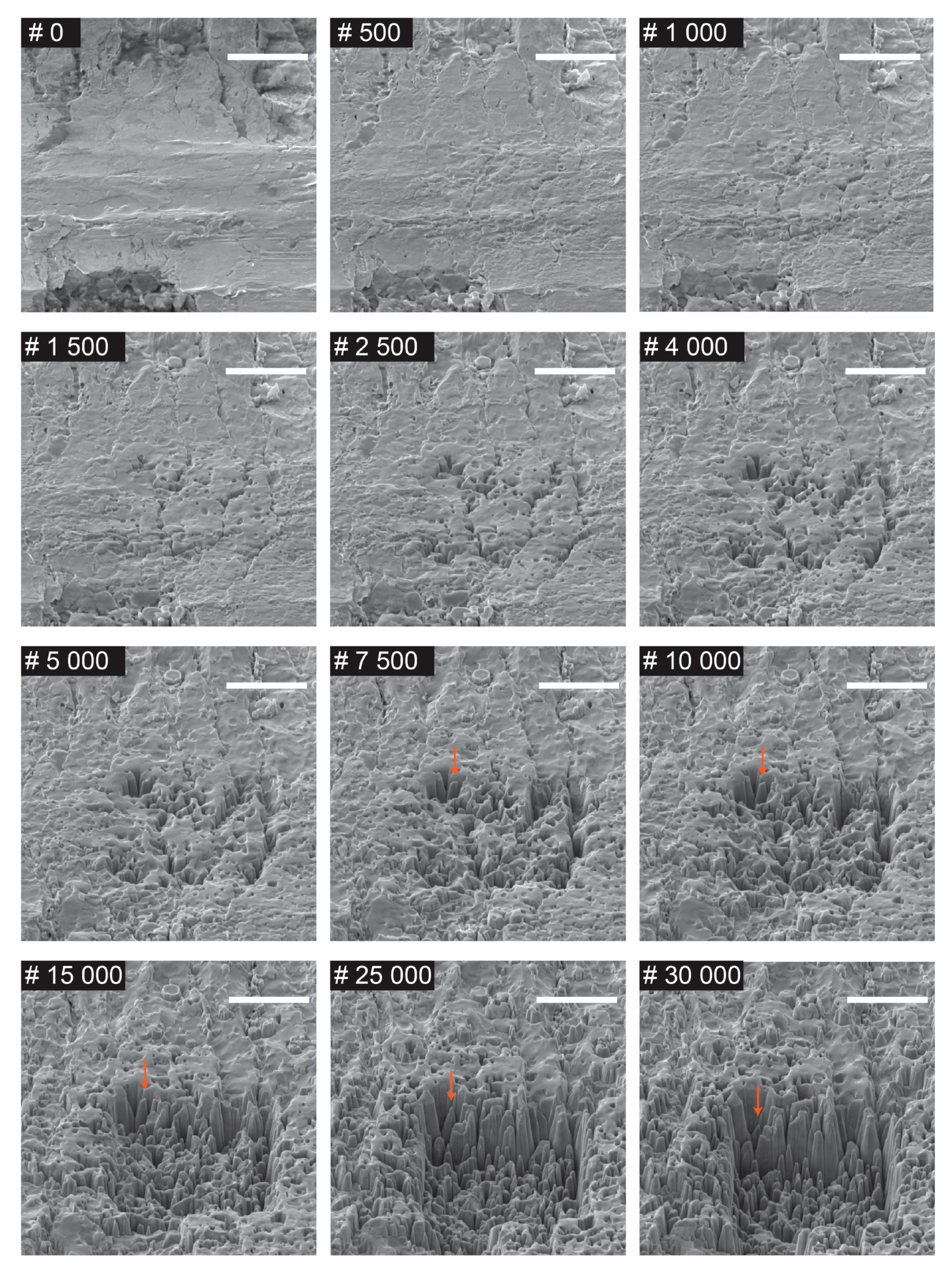 Nanomaterials 09 01492 g002 Nanomaterials 09 01492 g002