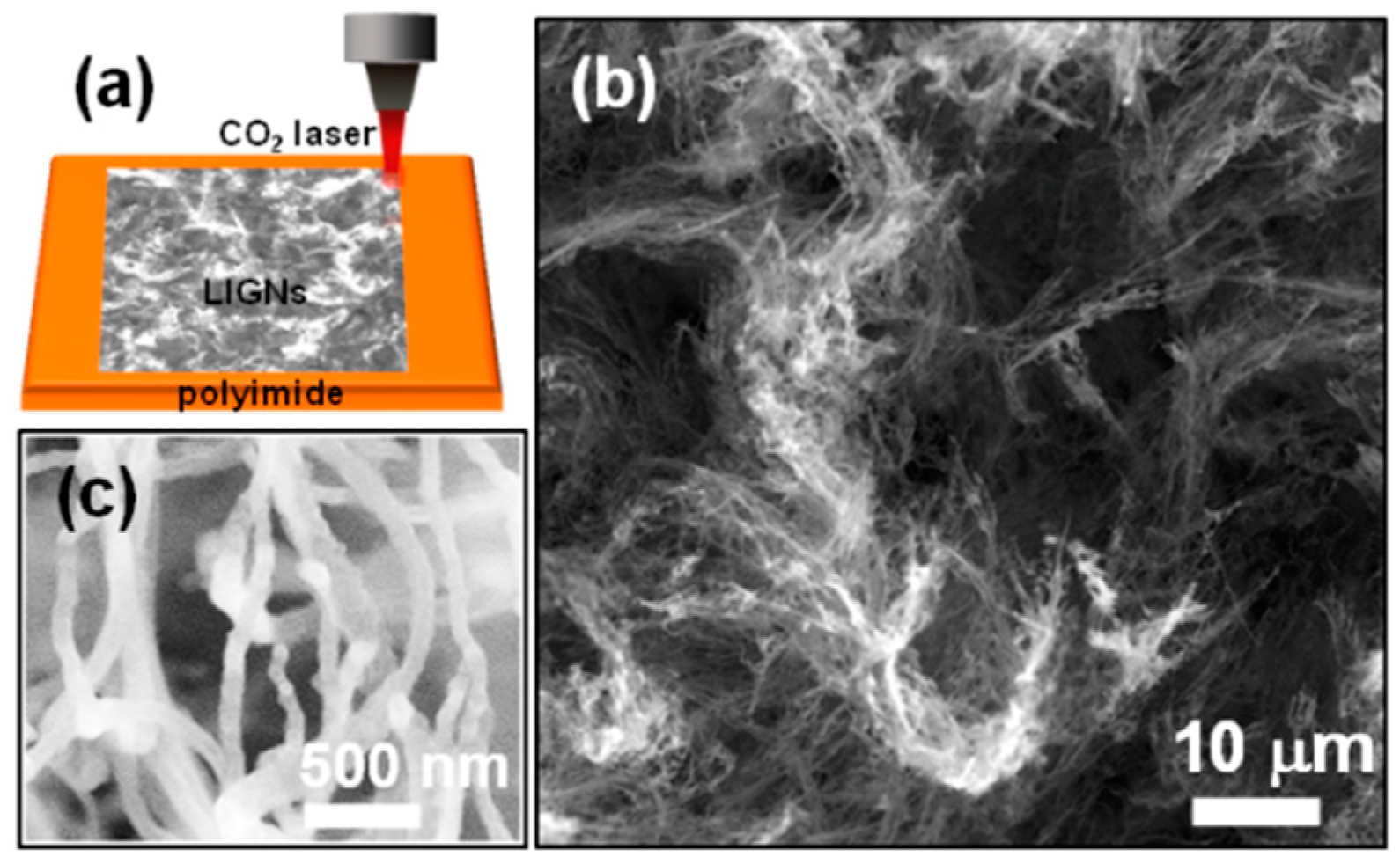 Nanomaterials 09 01493 g001