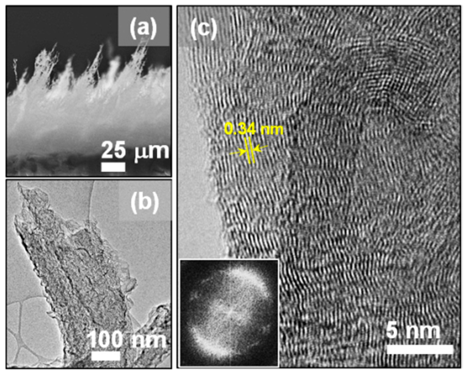 Nanomaterials 09 01493 g002