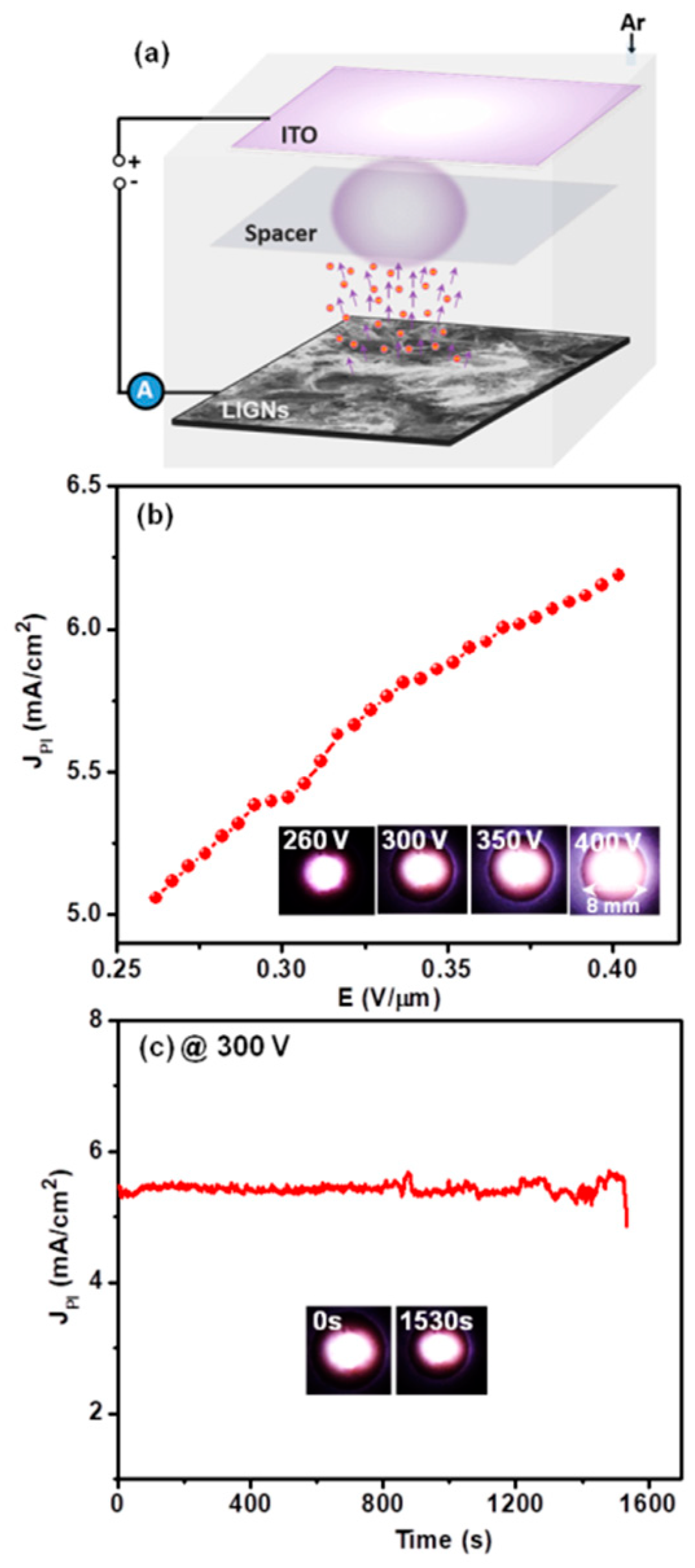 Nanomaterials 09 01493 g005