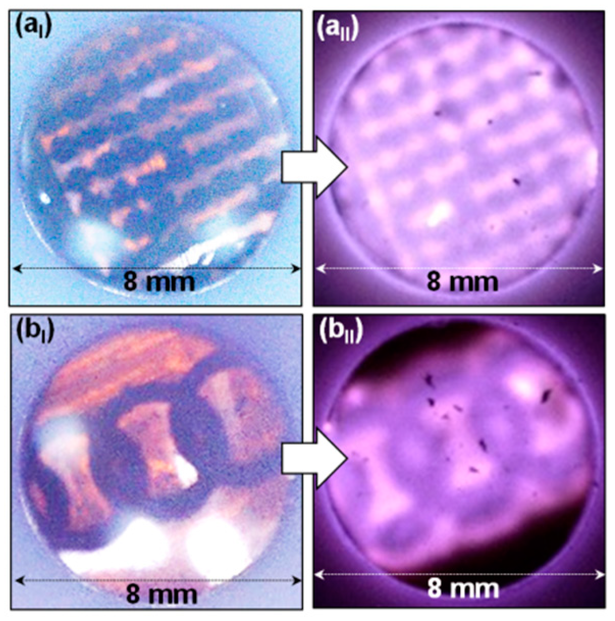 Nanomaterials 09 01493 g006