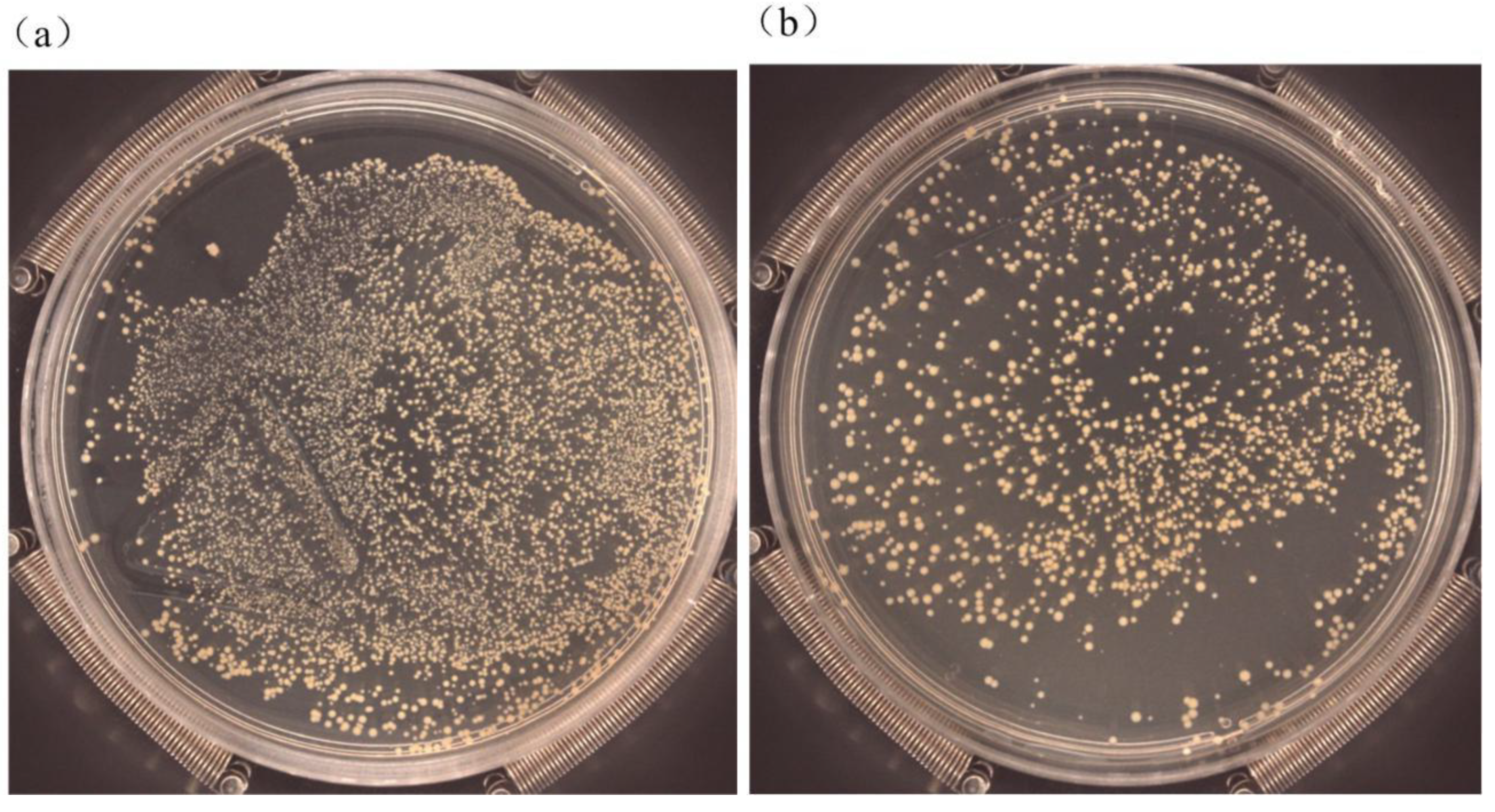Nanomaterials 09 01498 g011a
