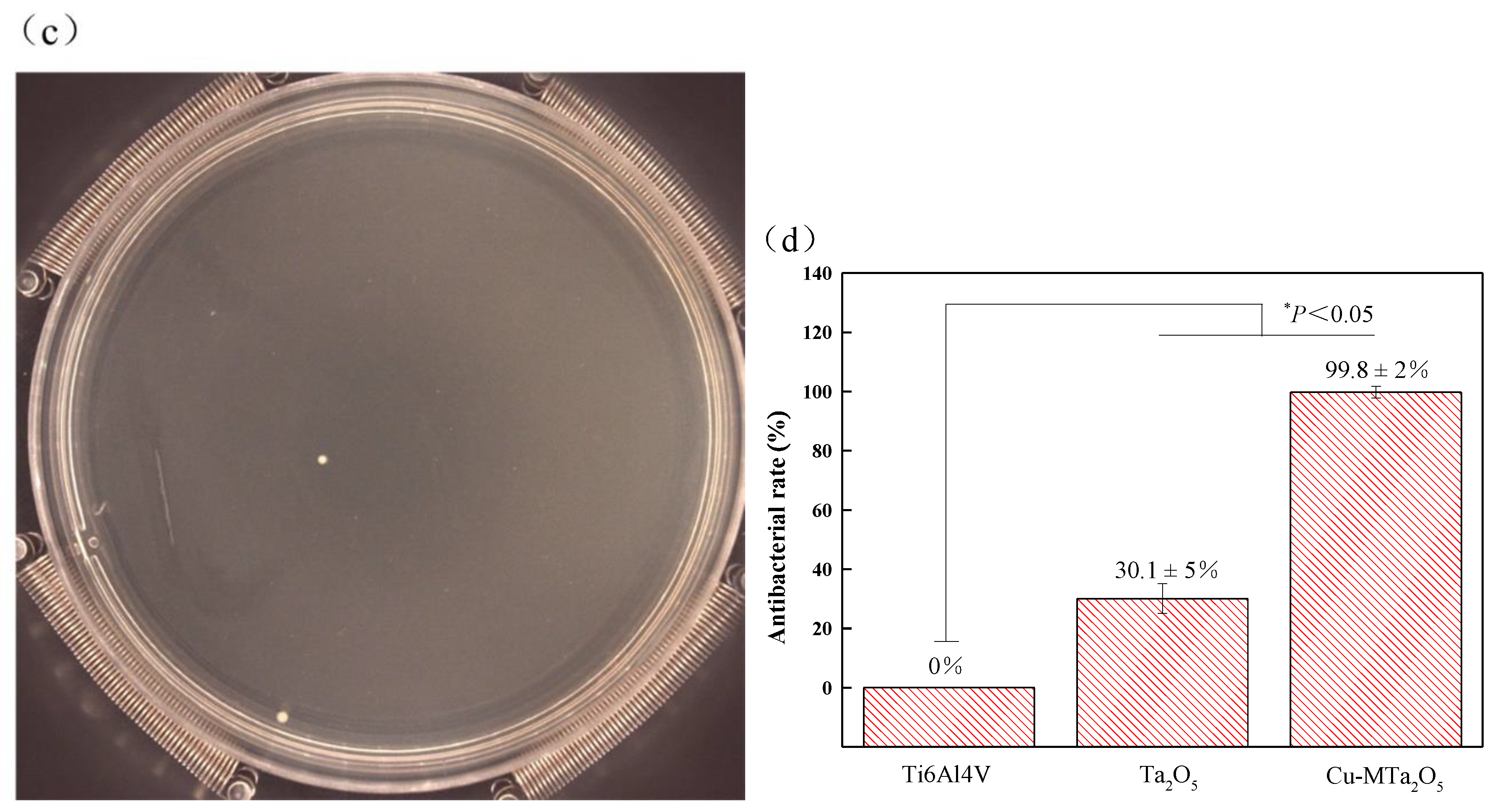 Nanomaterials 09 01498 g011b
