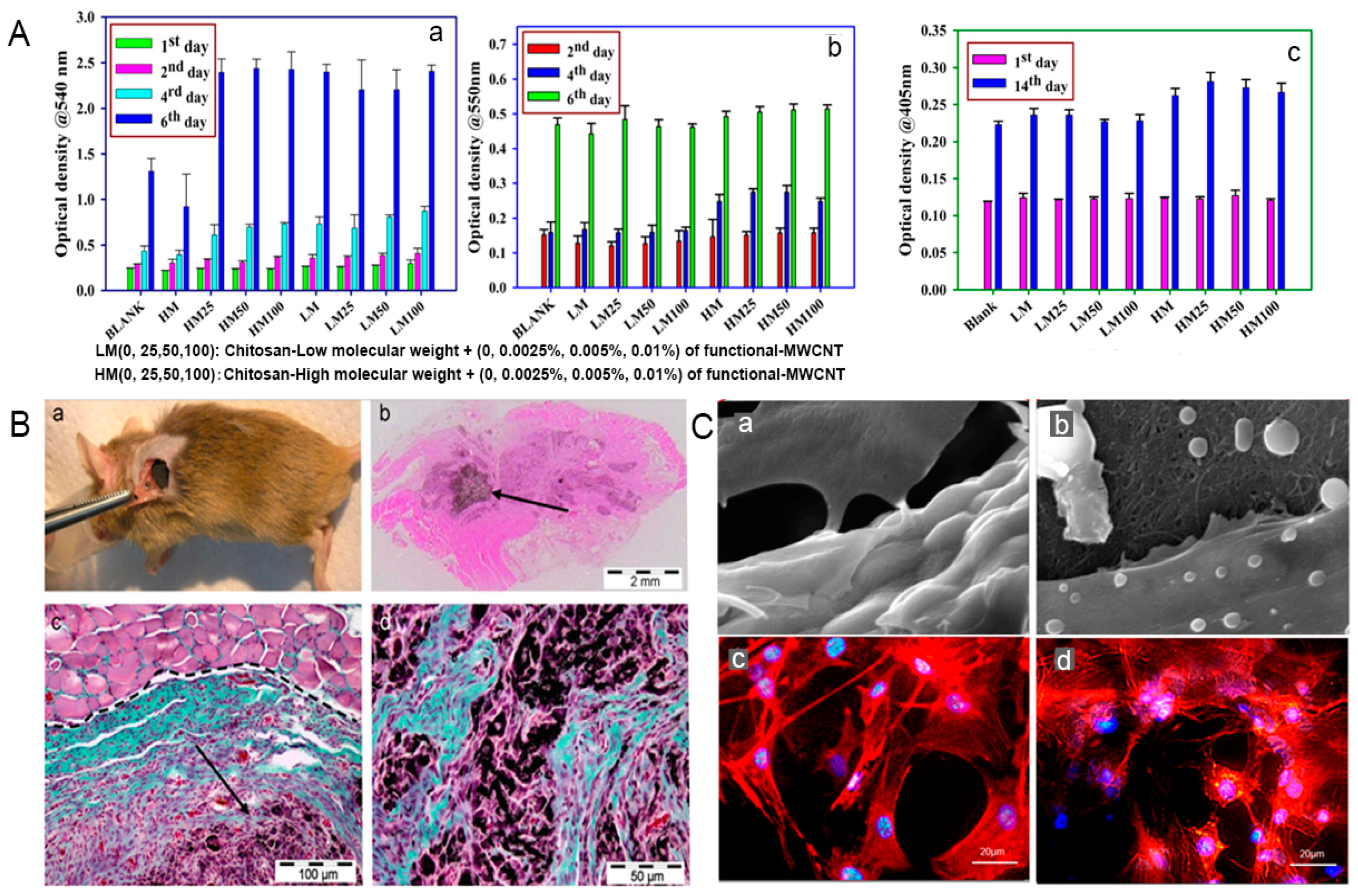 Nanomaterials 09 01501 g003 Nanomaterials 09 01501 g003