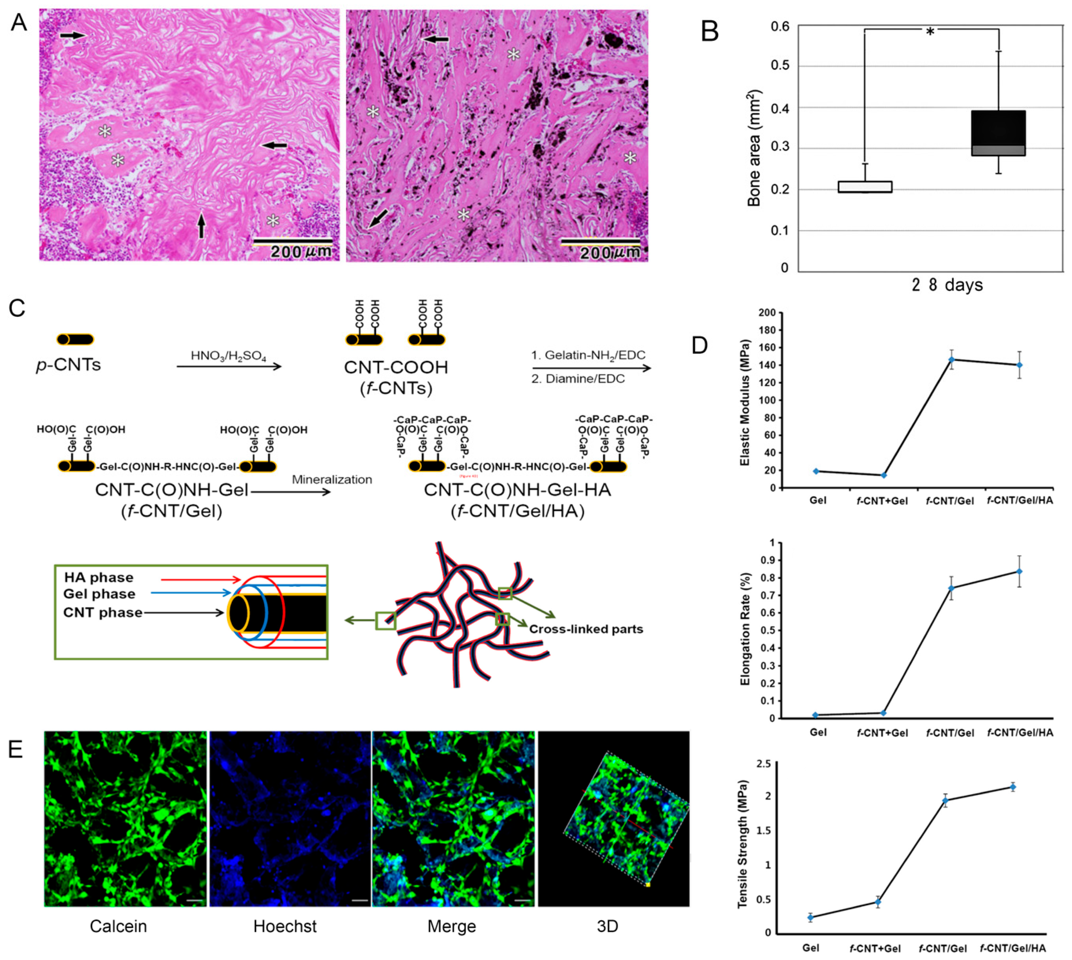 Nanomaterials Free Full Text Applications Of Carbon Nanotubes In Bone Tissue Regeneration And Engineering Superiority Concerns Current Advancements And Prospects Html