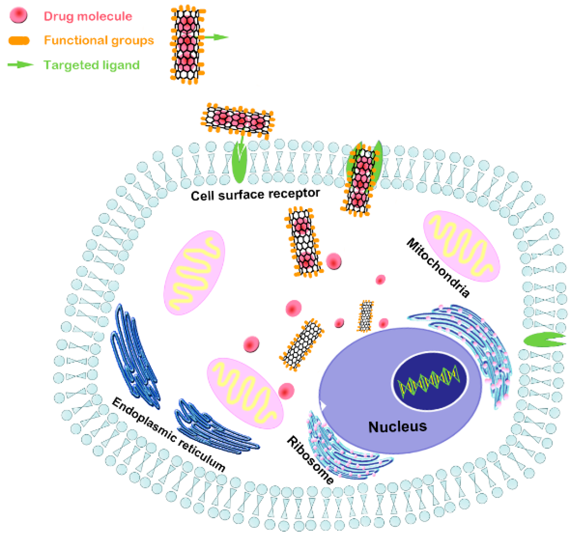 Nanomaterials 09 01501 g007 Nanomaterials 09 01501 g007