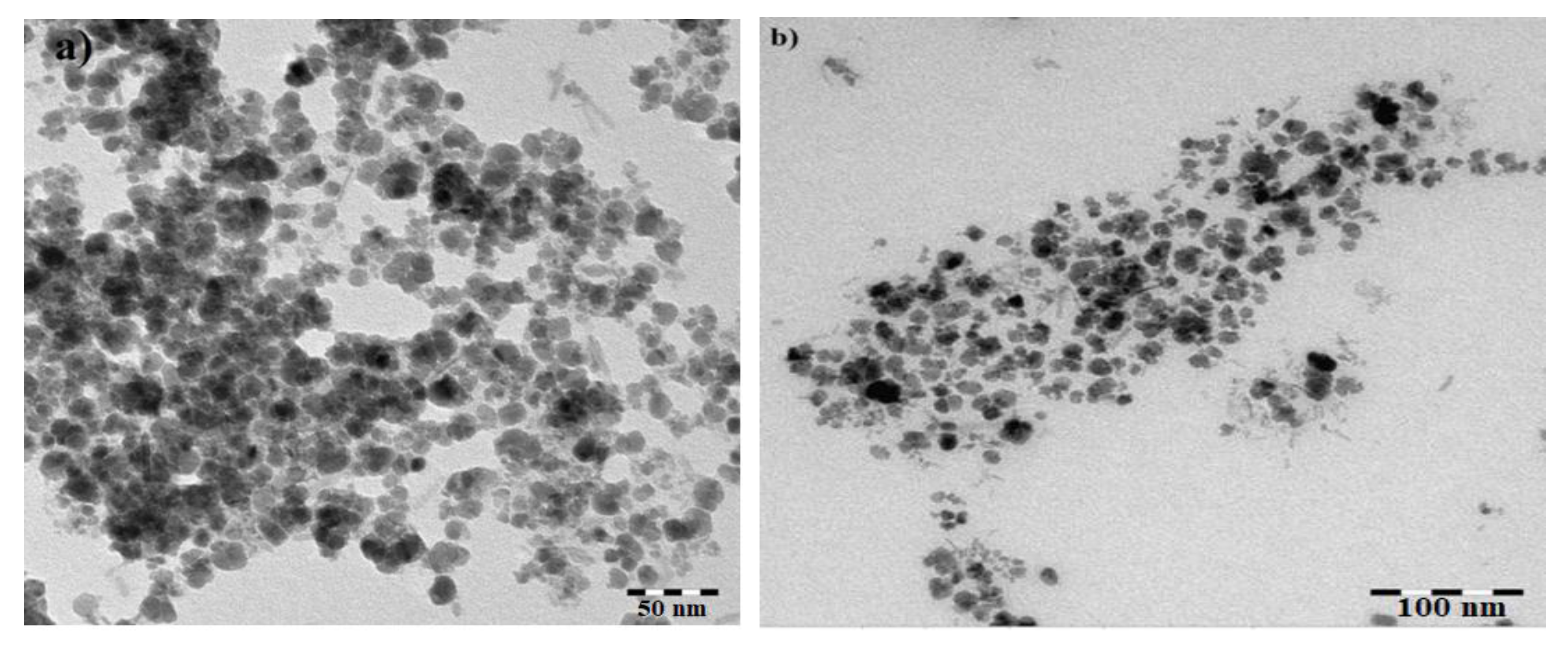 Nanomaterials 09 01505 g004