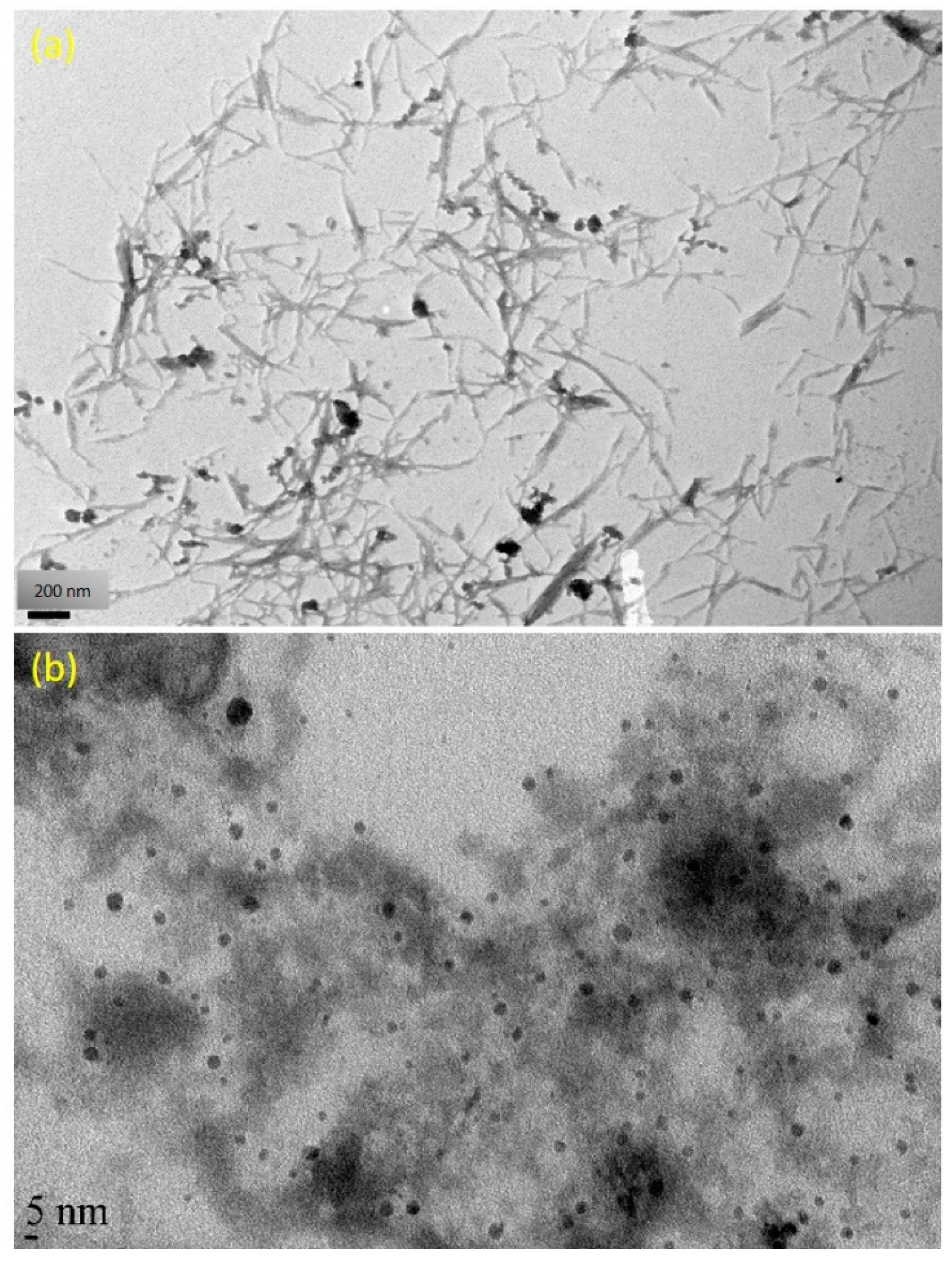 Nanomaterials 09 01523 g003