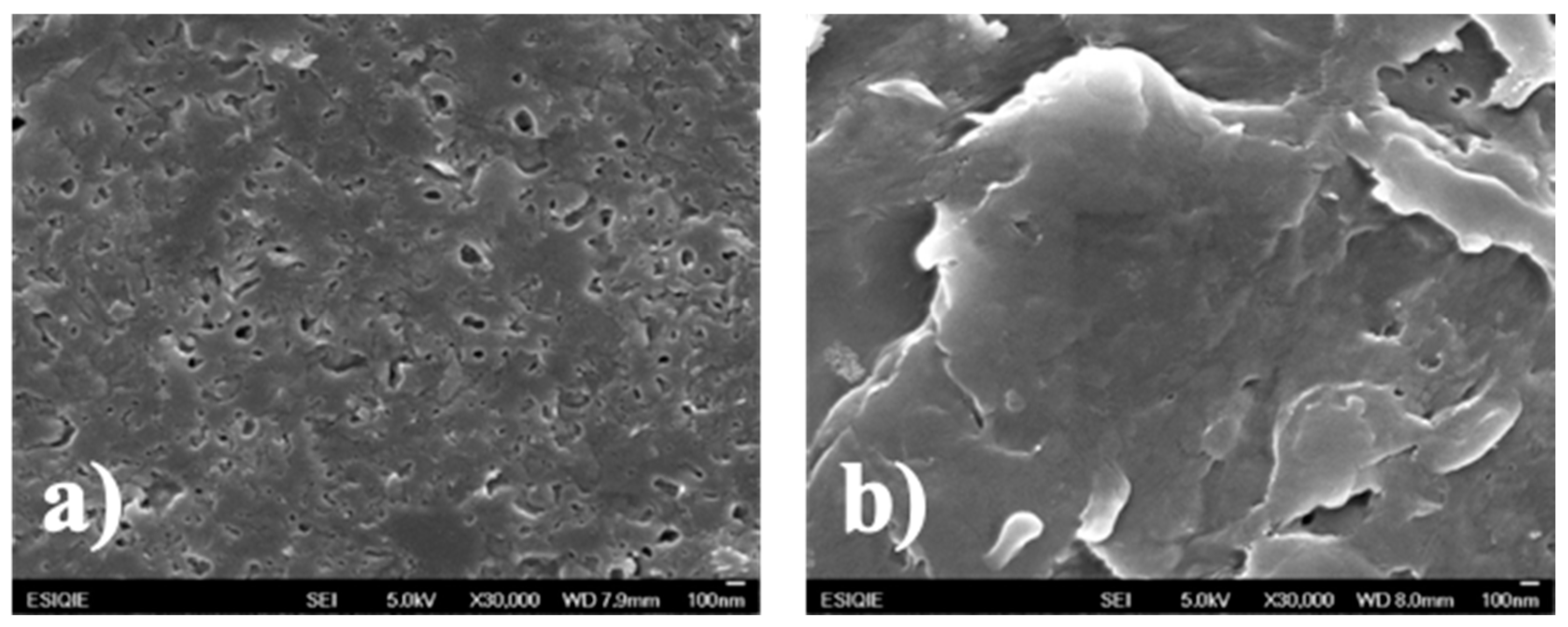 Nanomaterials 09 01528 g006