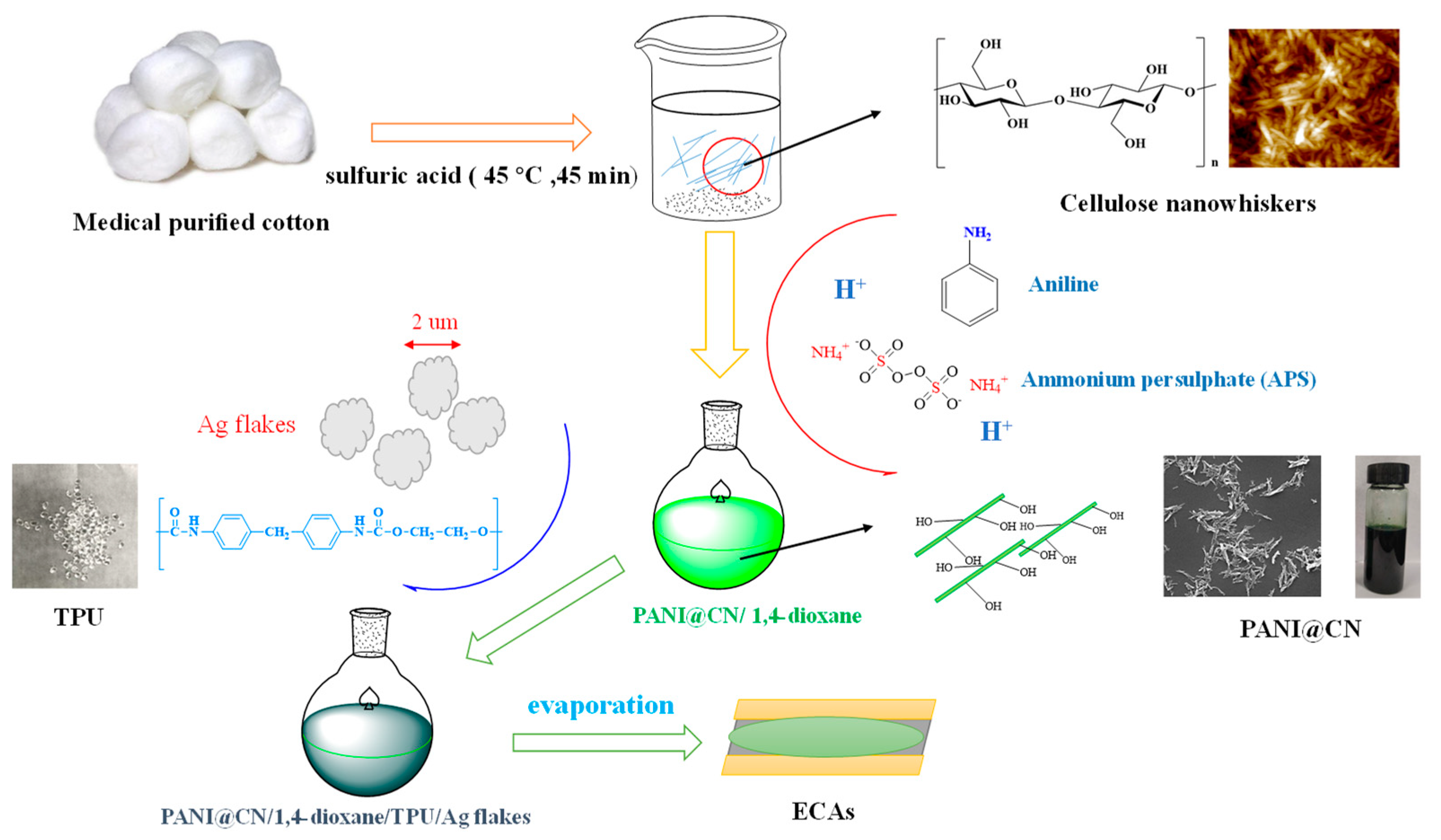 Nanomaterials 09 01542 g001