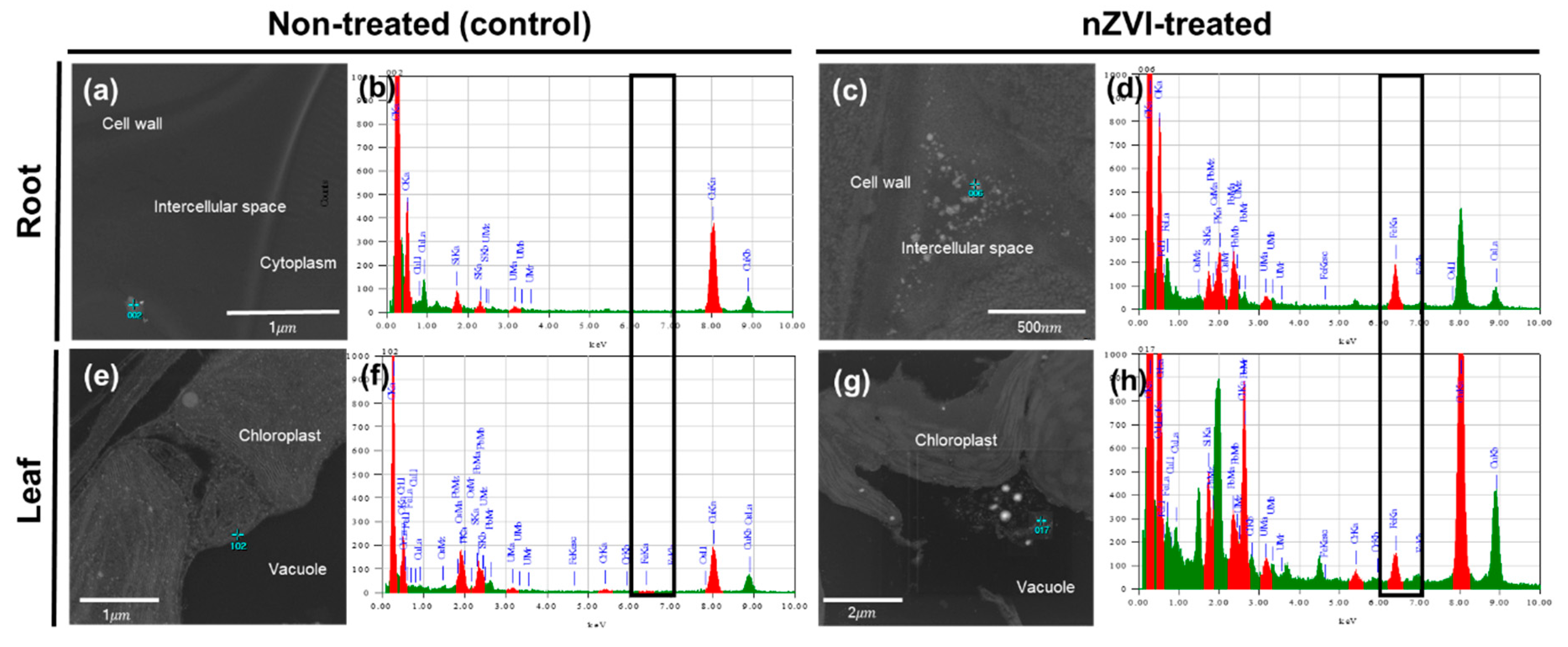 Nanomaterials 09 01543 g005