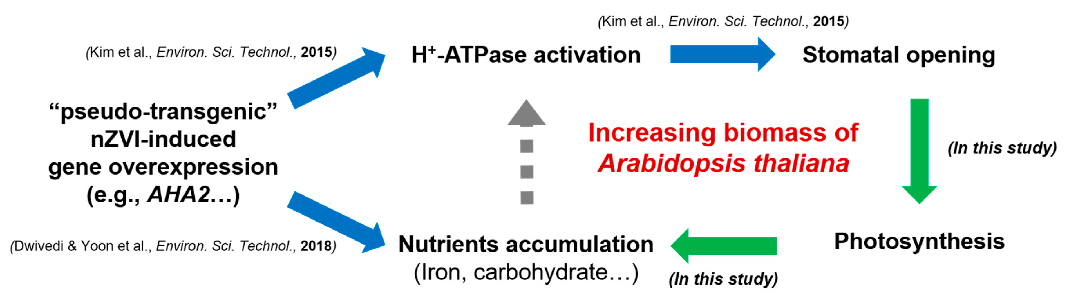 Nanomaterials 09 01543 g006