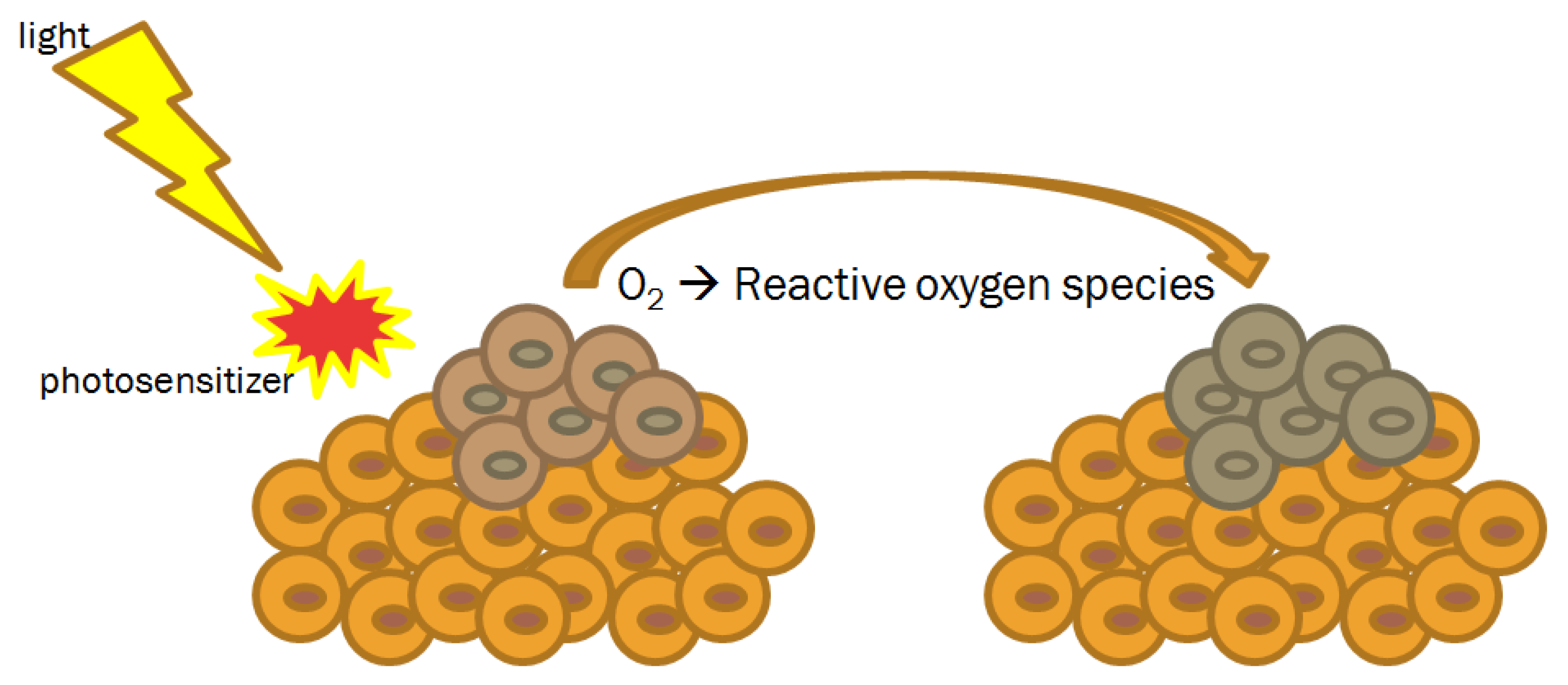 Nanomaterials 09 01546 g004 Nanomaterials 09 01546 g004