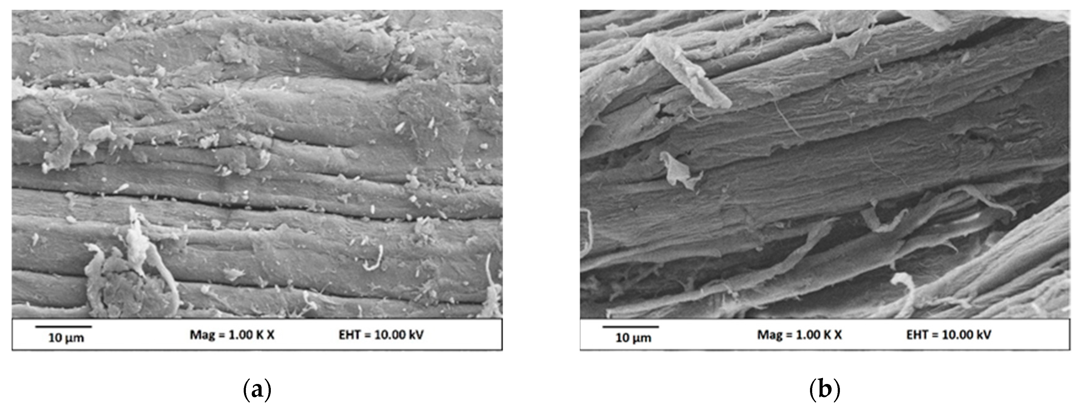 Nanomaterials 09 01547 g001a Nanomaterials 09 01547 g001a