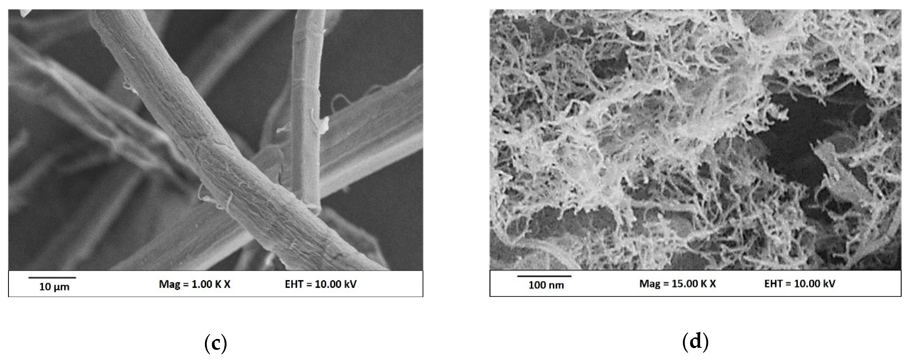 Nanomaterials 09 01547 g001b Nanomaterials 09 01547 g001b