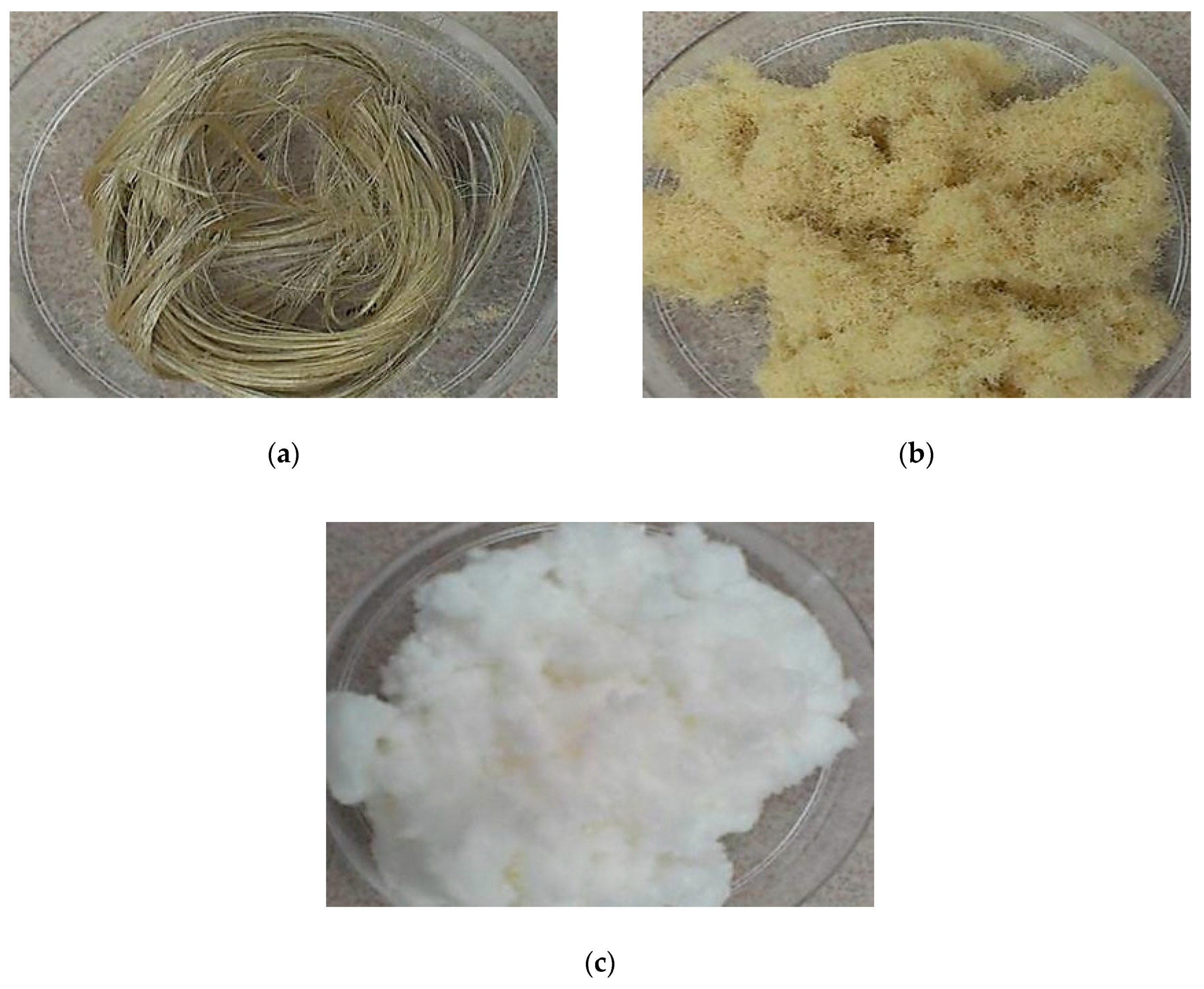 Nanomaterials 09 01547 g002 Nanomaterials 09 01547 g002