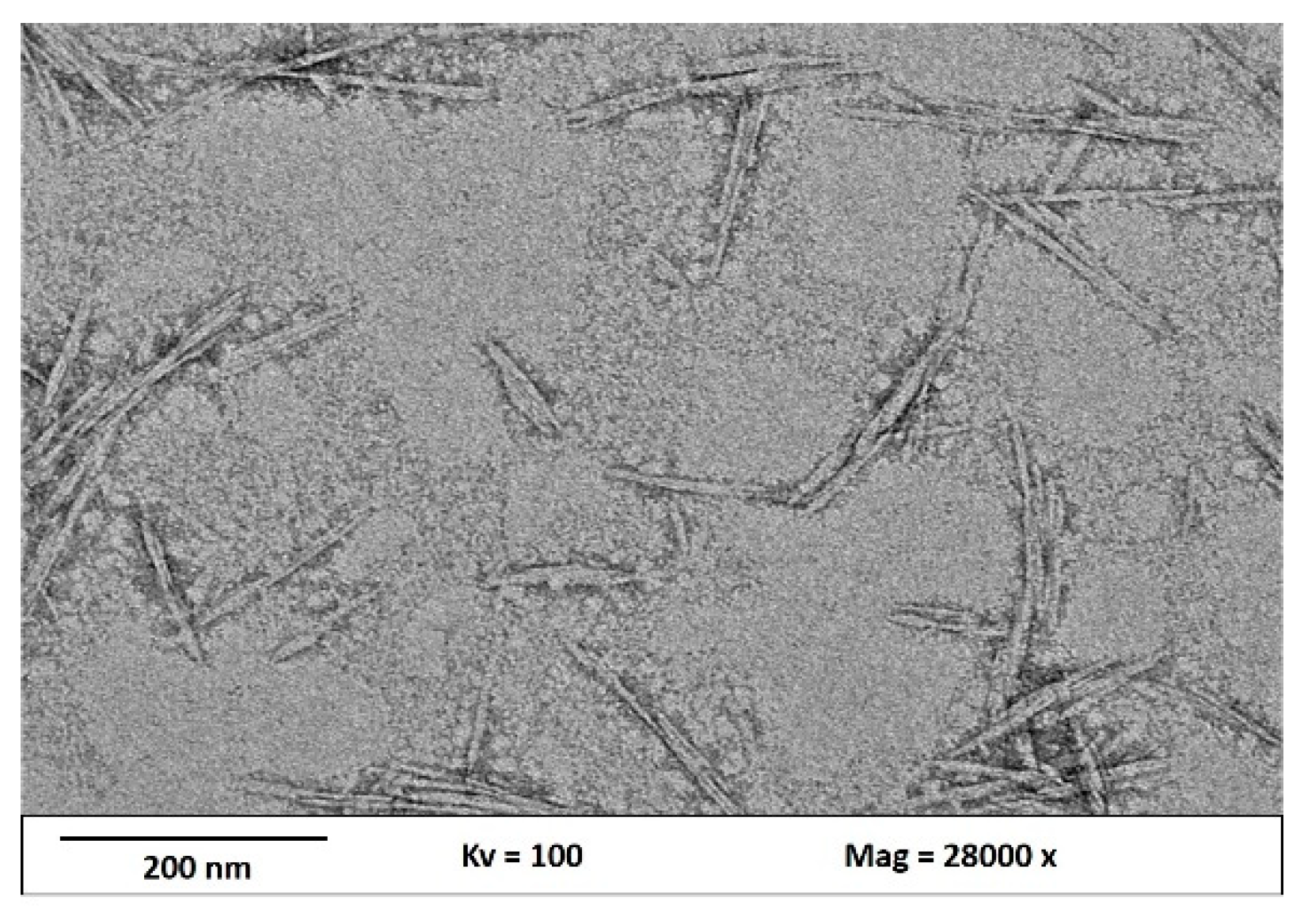 Nanomaterials 09 01547 g003 Nanomaterials 09 01547 g003