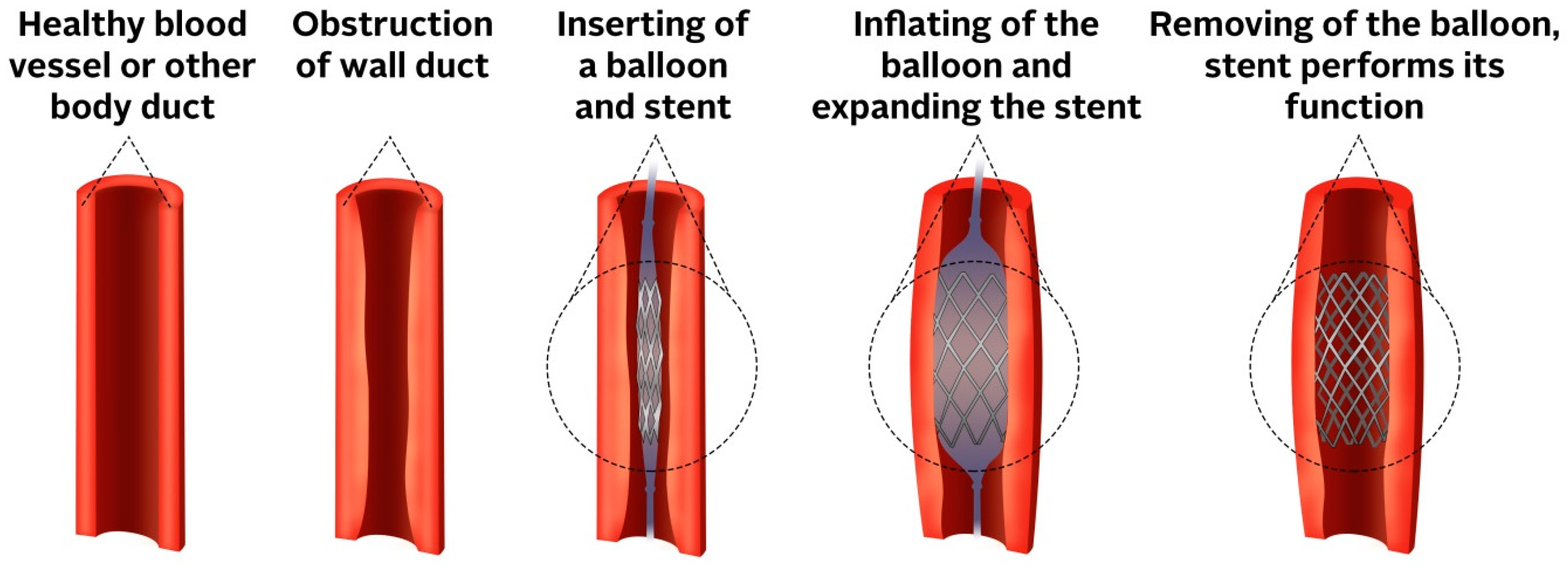 Nanomaterials 09 01548 g001