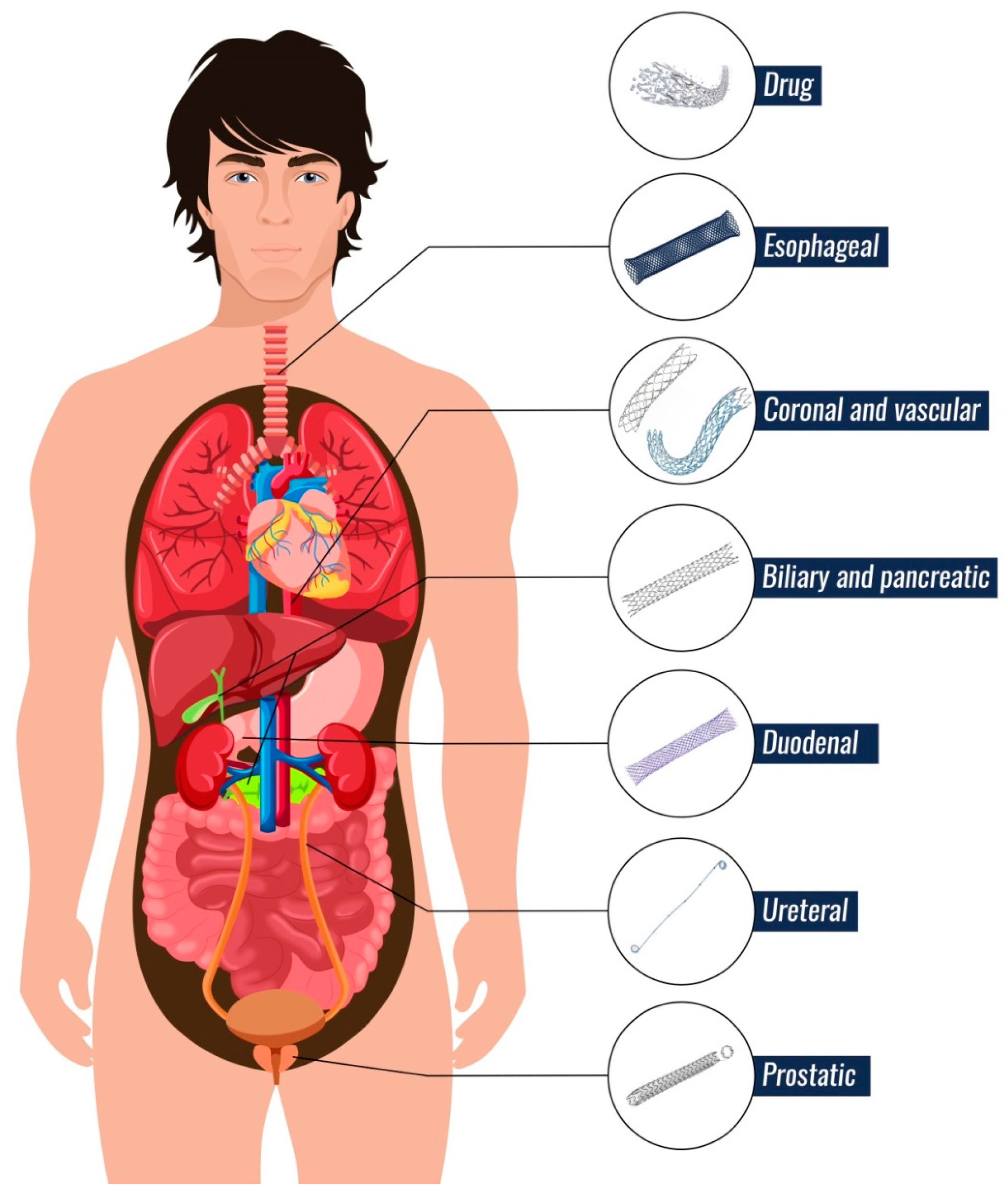 Nanomaterials 09 01548 g002