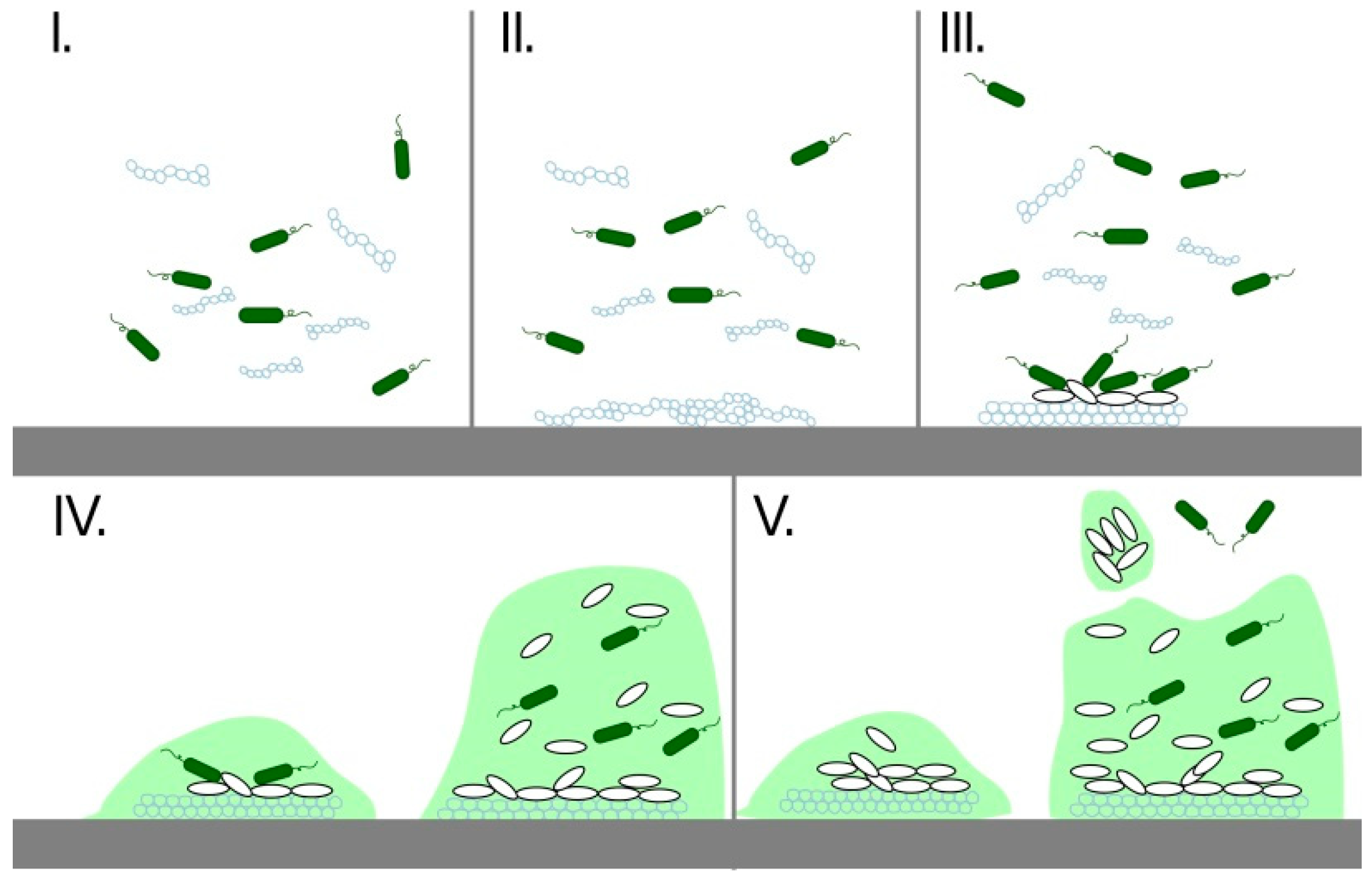 Nanomaterials 09 01548 g003