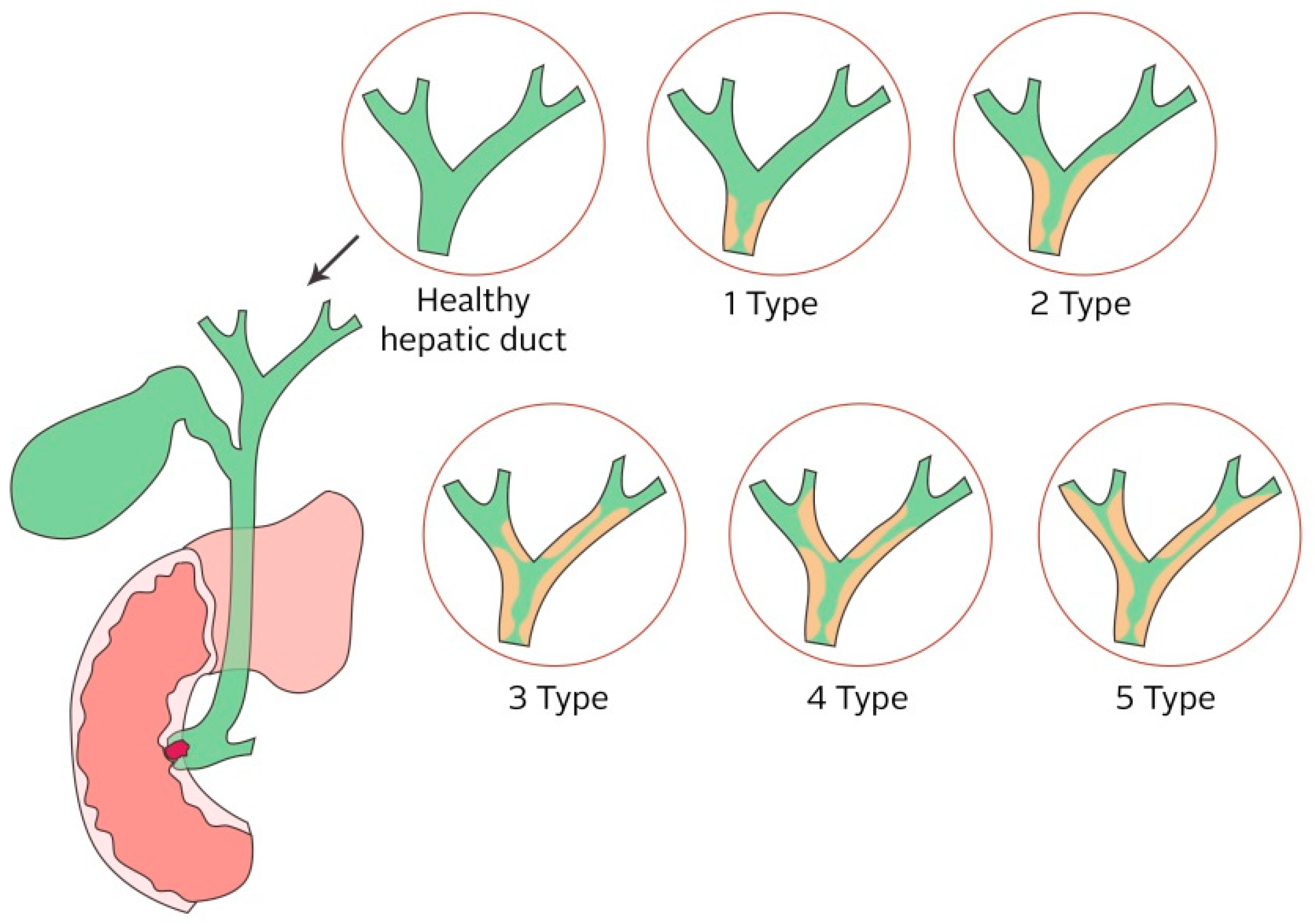 Nanomaterials 09 01548 g005