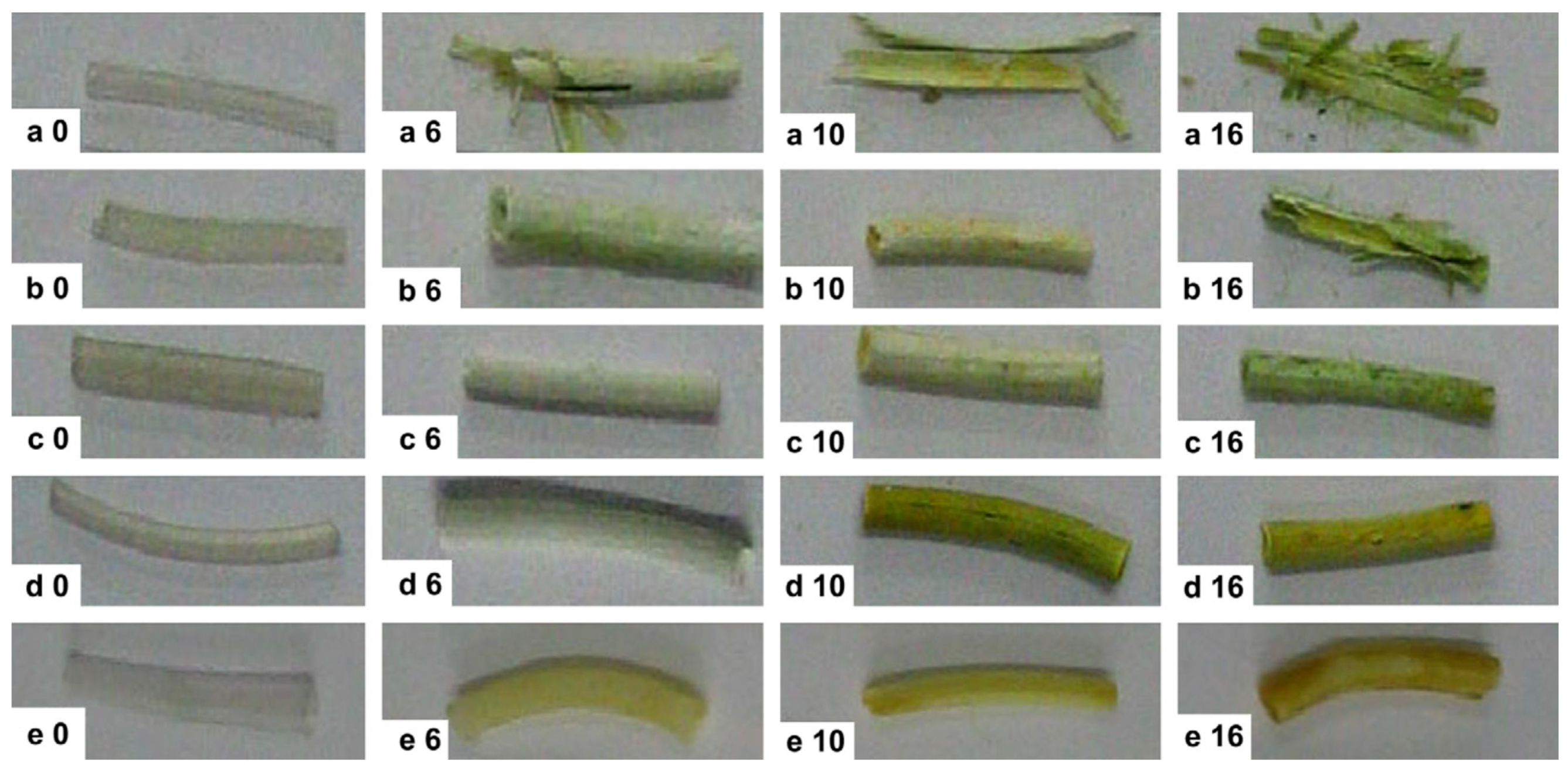 Nanomaterials 09 01548 g010