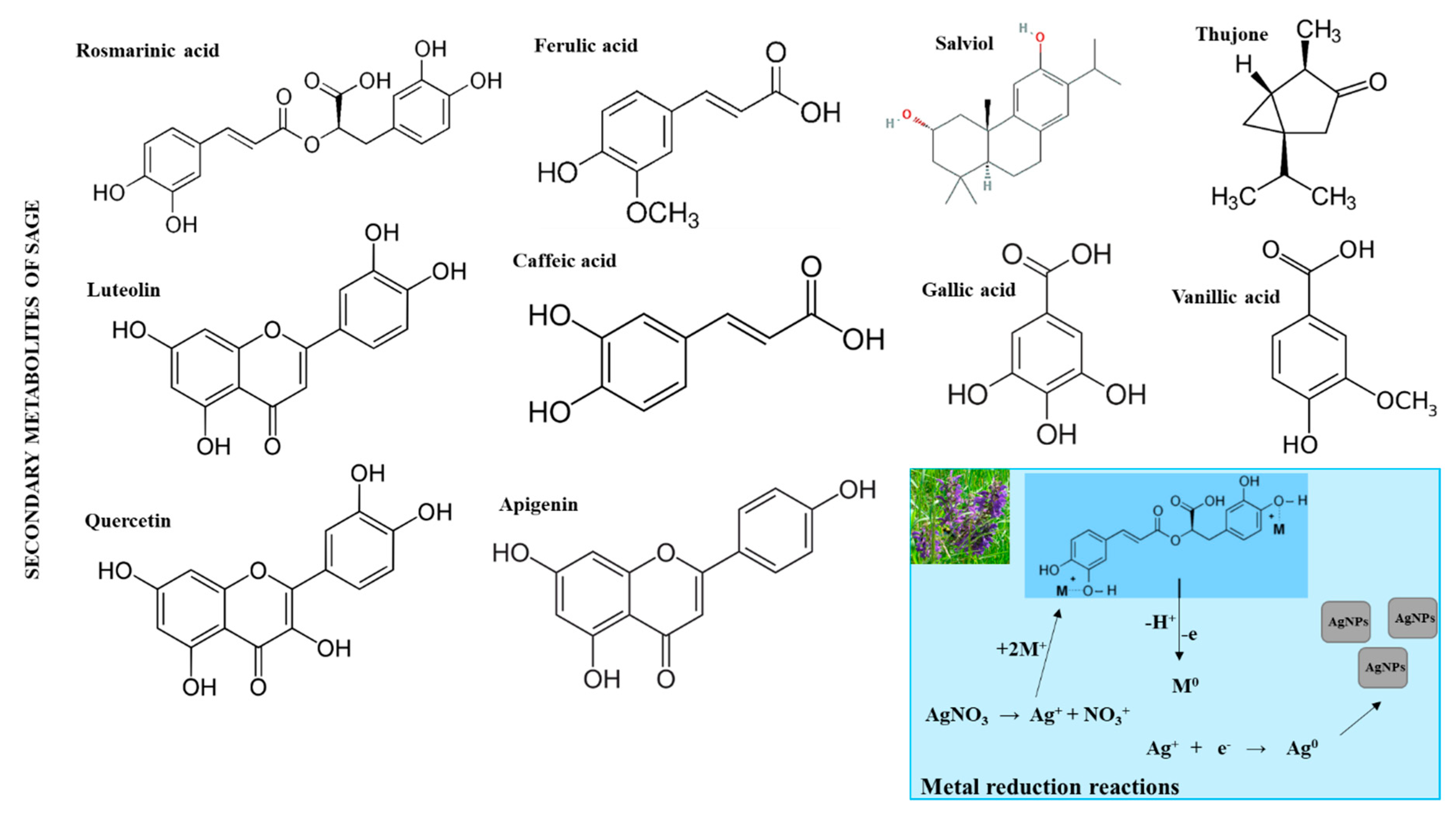 Nanomaterials 09 01550 g002 Nanomaterials 09 01550 g002