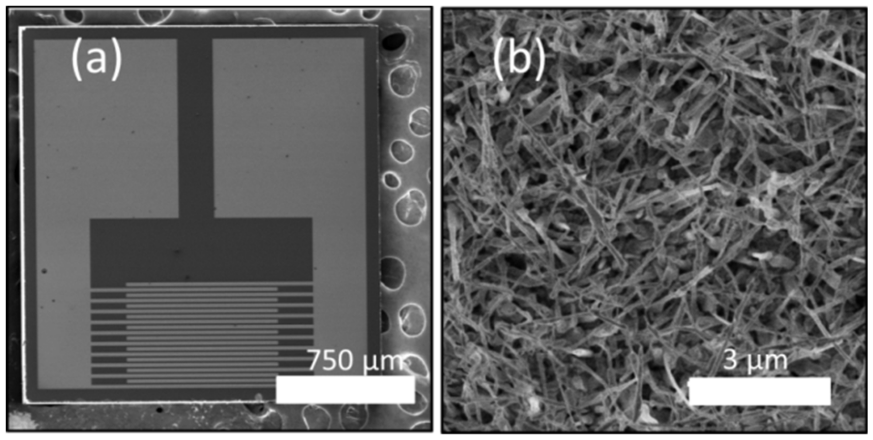 Nanomaterials 09 01552 g005
