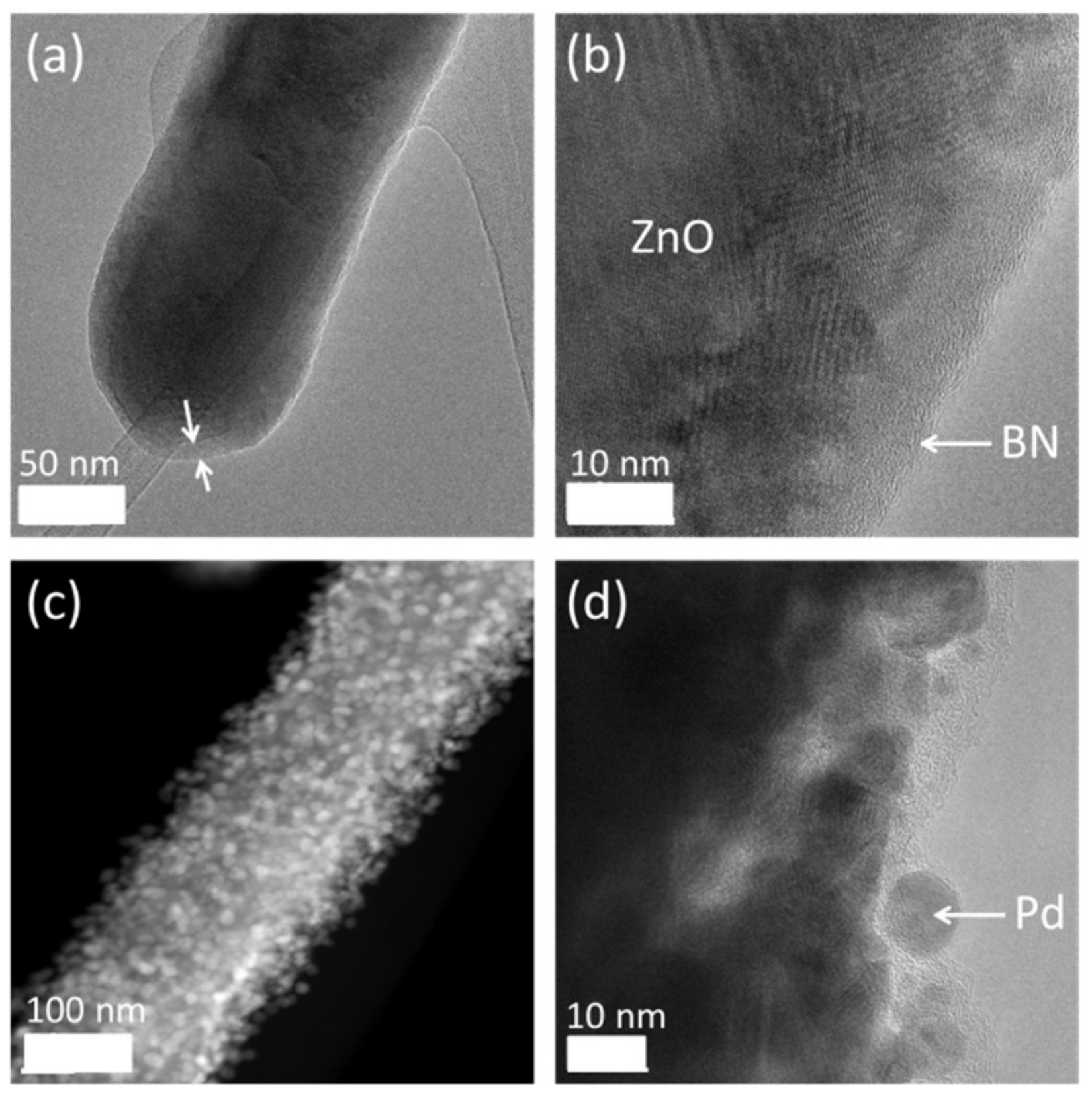 Nanomaterials 09 01552 g012