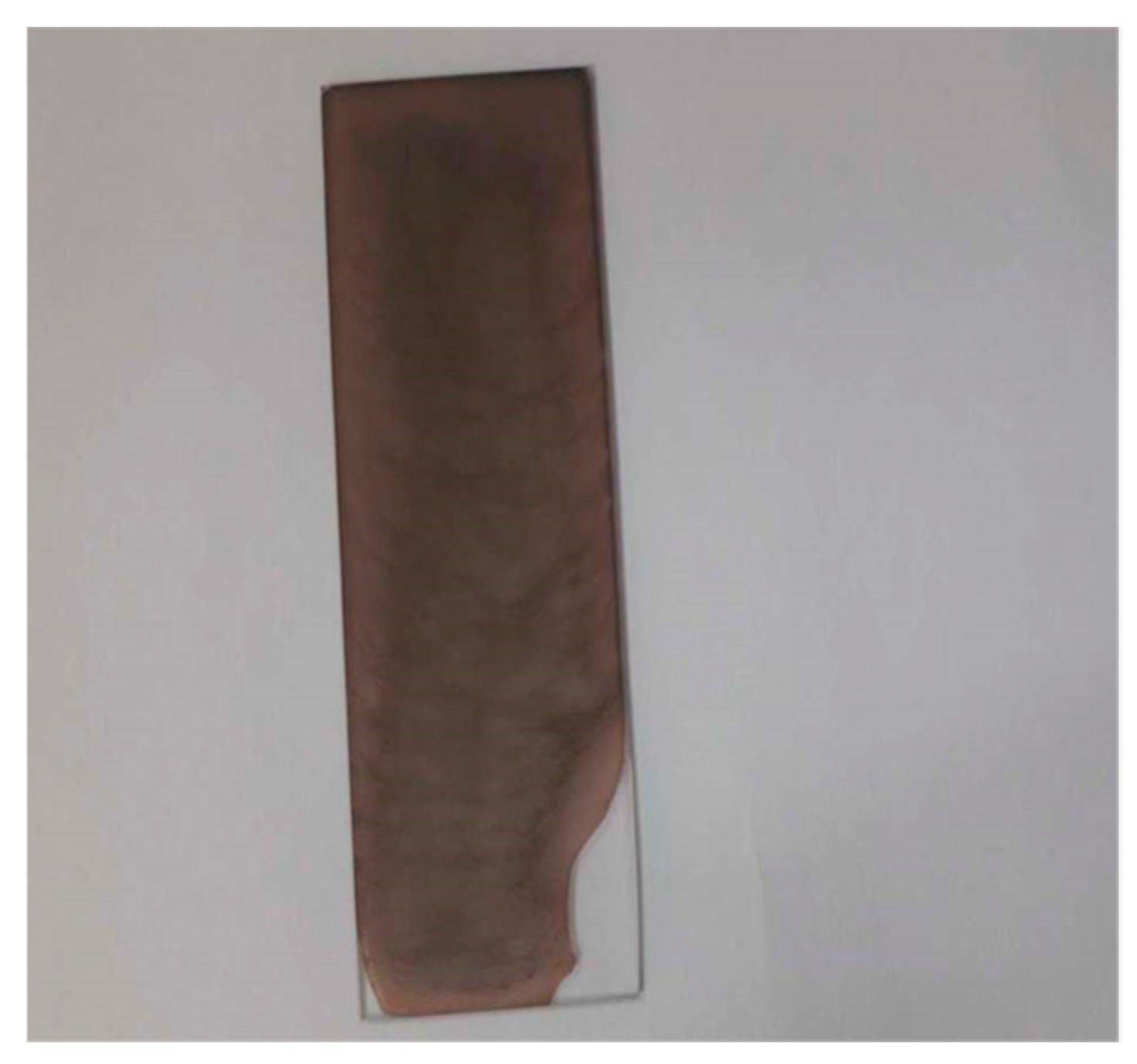 Nanomaterials 09 01557 g006