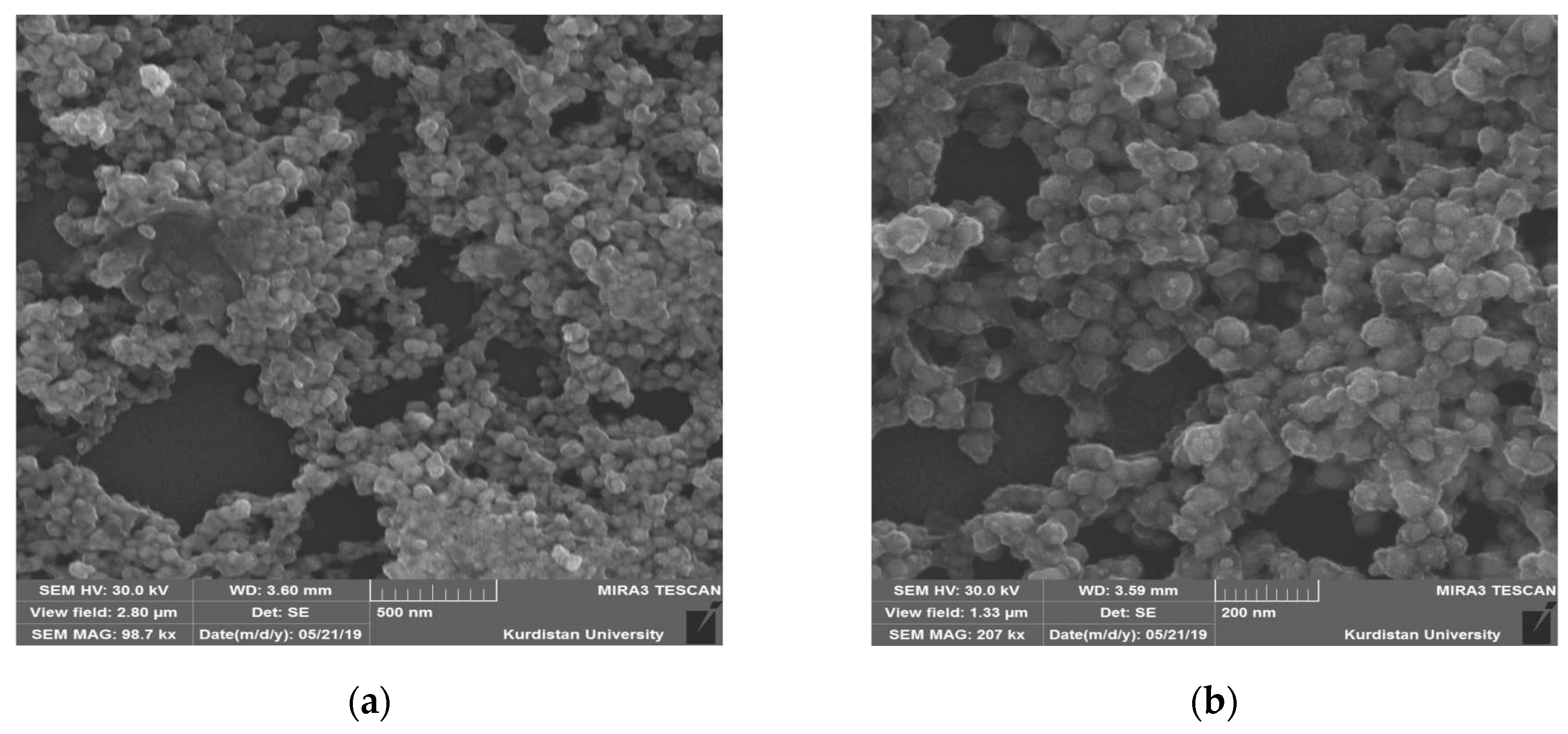 Nanomaterials 09 01557 g007a