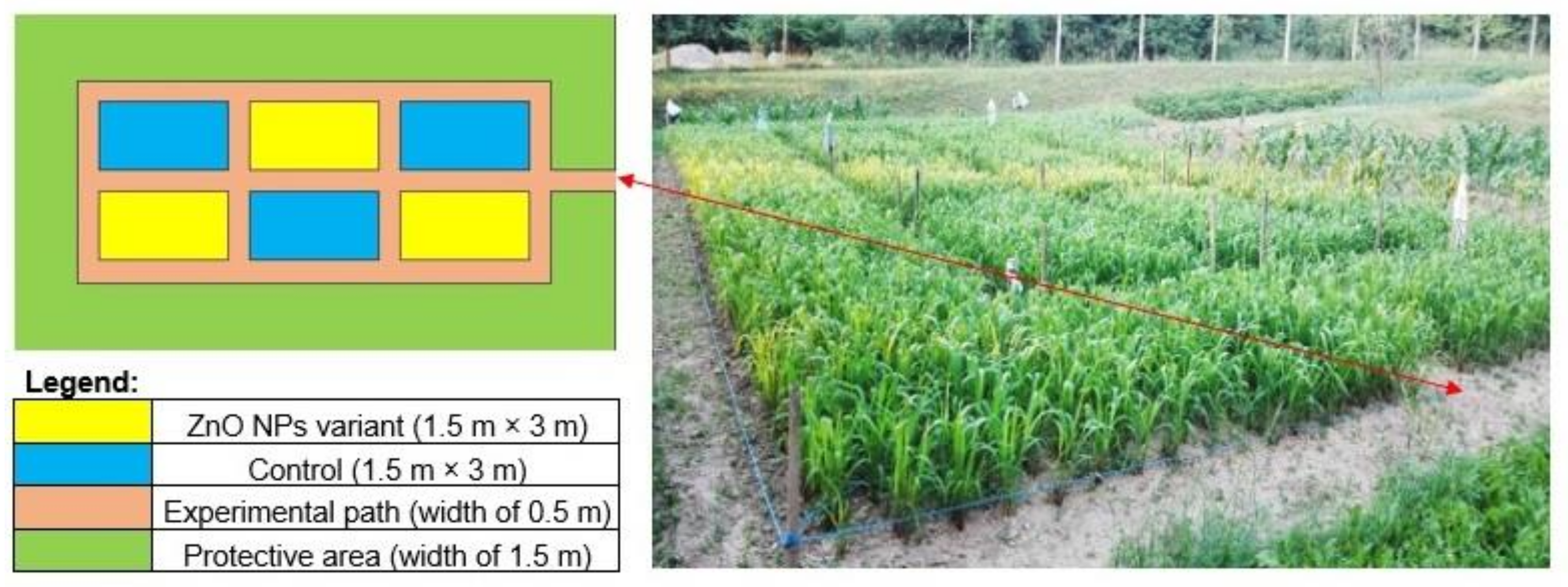 Nanomaterials 09 01559 g002