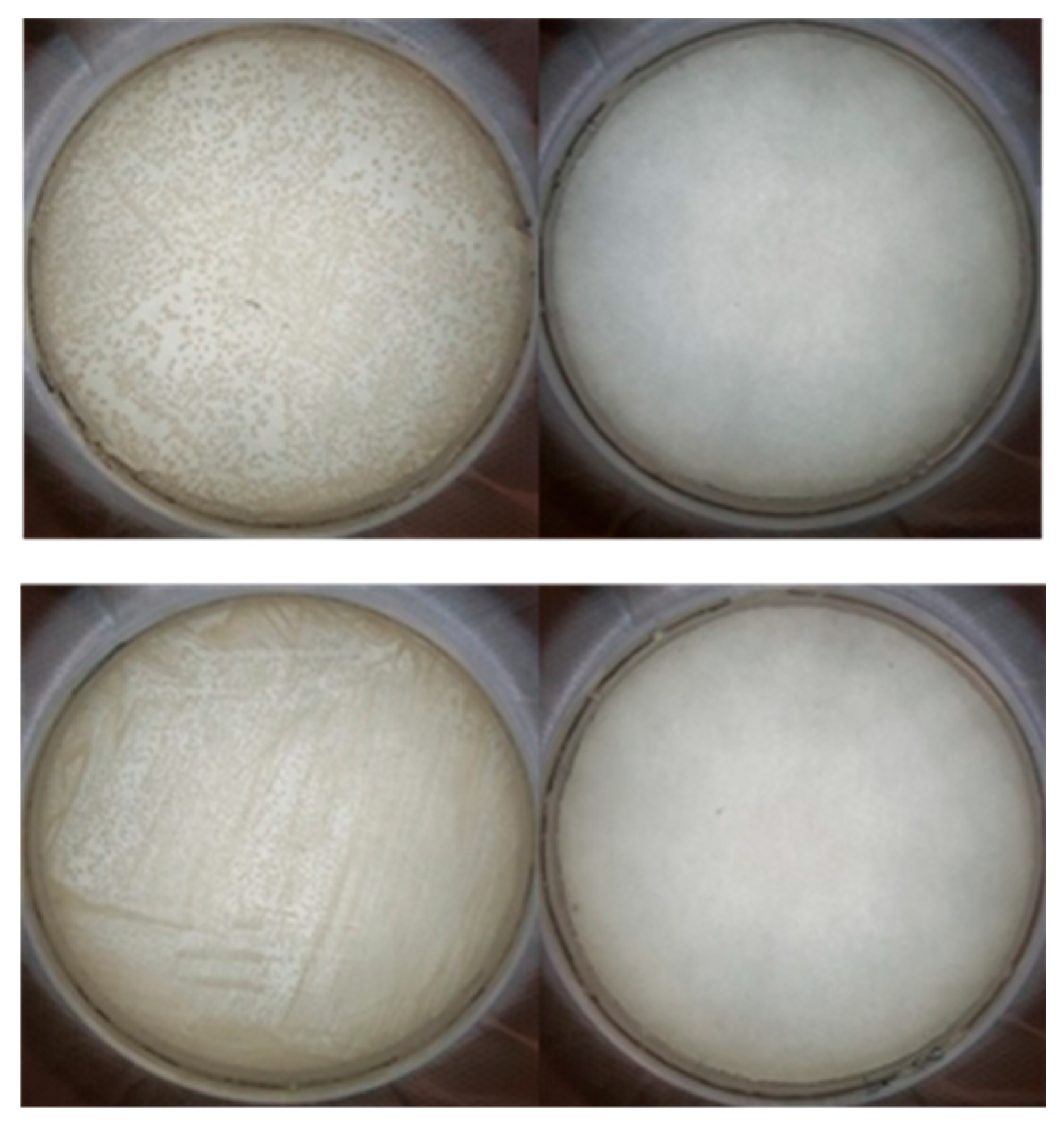 Nanomaterials 09 01563 g005 Nanomaterials 09 01563 g005