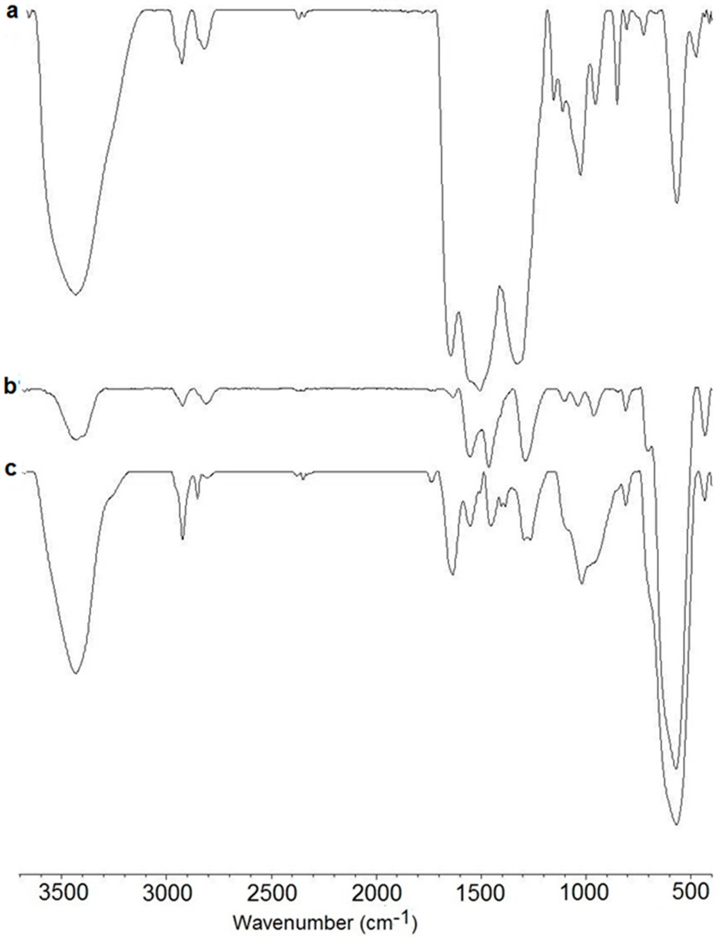 Nanomaterials 09 01565 g002