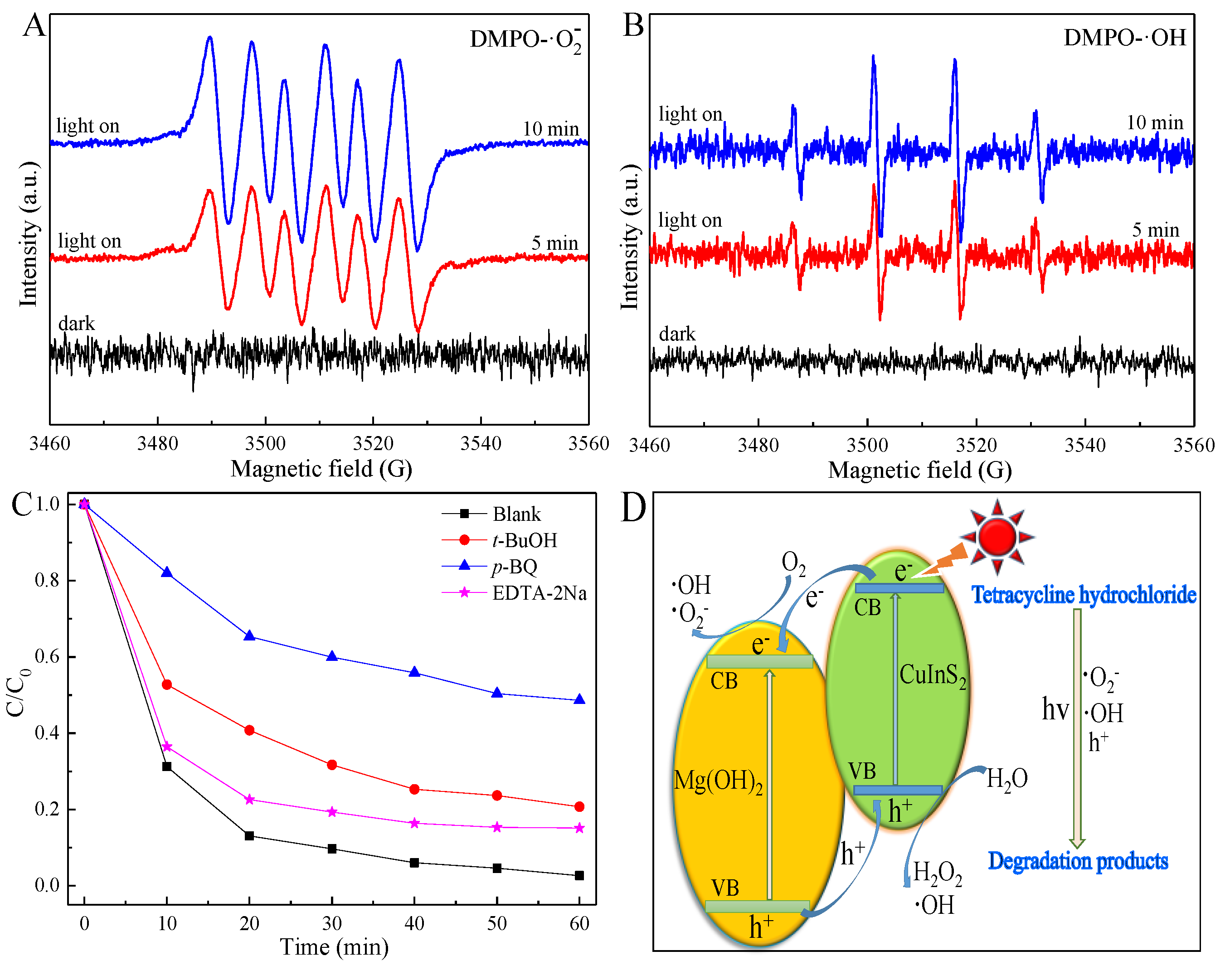 Nanomaterials 09 01567 g007